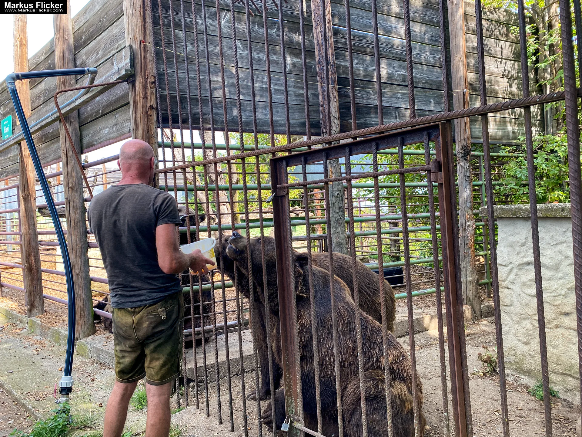 Bärenhof Berghausen an der Südsteirischen Weinstraße Steiermark Österreich #visitstyria #visistaustria