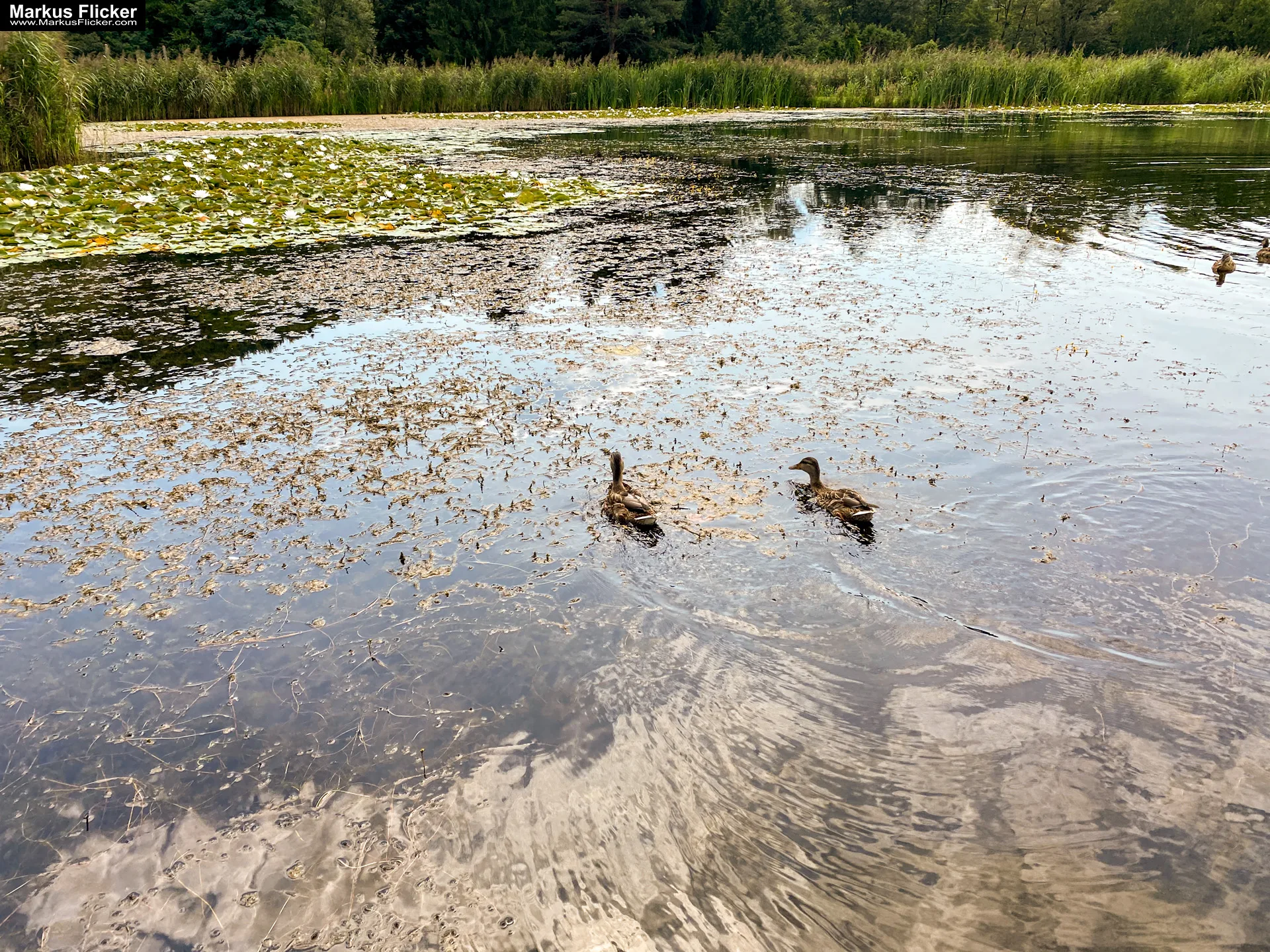 Motorikpark Gamlitz in der Südsteiermark Steiermark Österreich #visitstyria #visitaustria Motorikpark Gamlitz in der Südsteiermark Steiermark Österreich #visitstyria #visitaustria