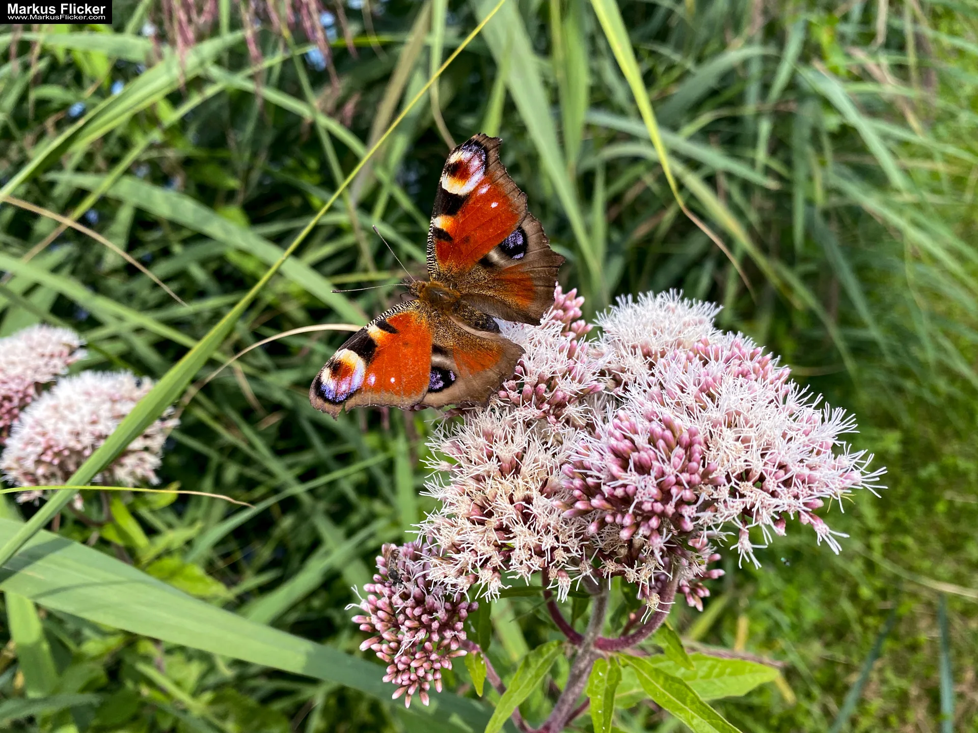 Motorikpark Gamlitz in der Südsteiermark Steiermark Österreich #visitstyria #visitaustria Motorikpark Gamlitz in der Südsteiermark