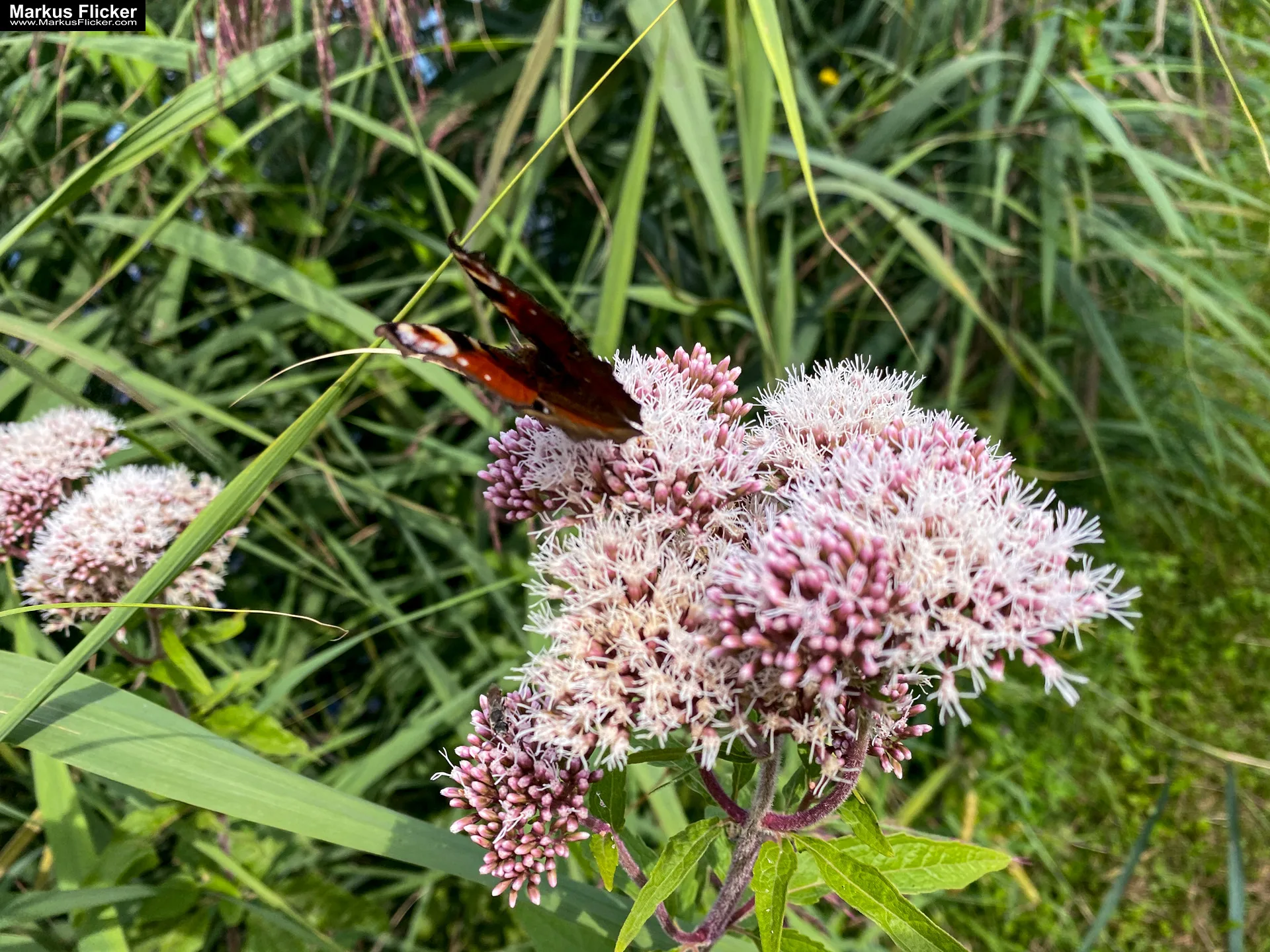 Motorikpark Gamlitz in der Südsteiermark Steiermark Österreich #visitstyria #visitaustria Motorikpark Gamlitz in der Südsteiermark