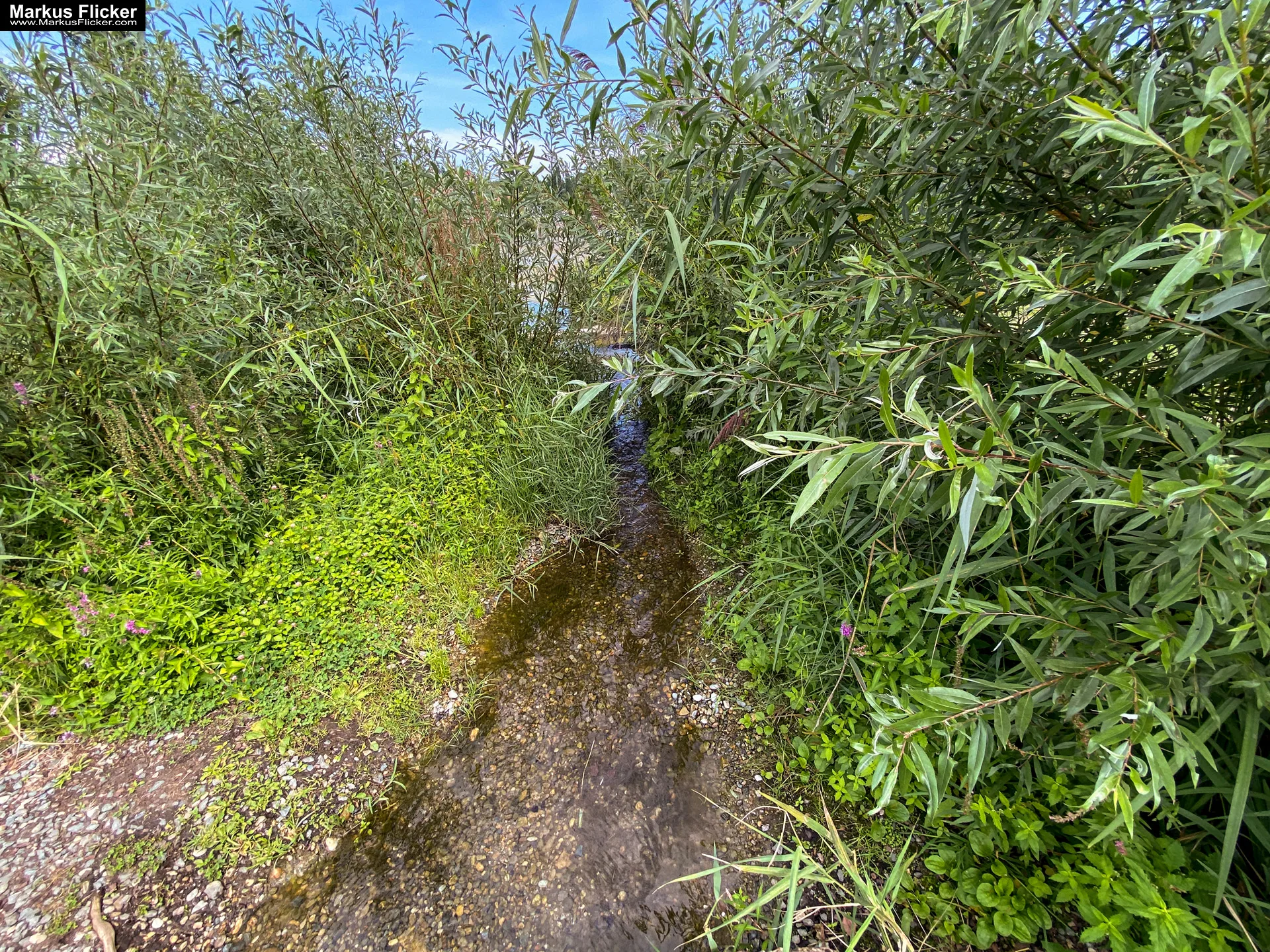 Motorikpark Gamlitz in der Südsteiermark Steiermark Österreich #visitstyria #visitaustria Motorikpark Gamlitz in der Südsteiermark Steiermark Österreich #visitstyria #visitaustria