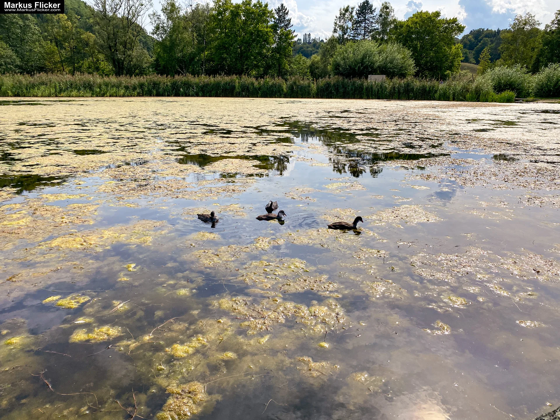 Motorikpark Gamlitz in der Südsteiermark Steiermark Österreich #visitstyria #visitaustria Motorikpark Gamlitz in der Südsteiermark Steiermark Österreich #visitstyria #visitaustria
