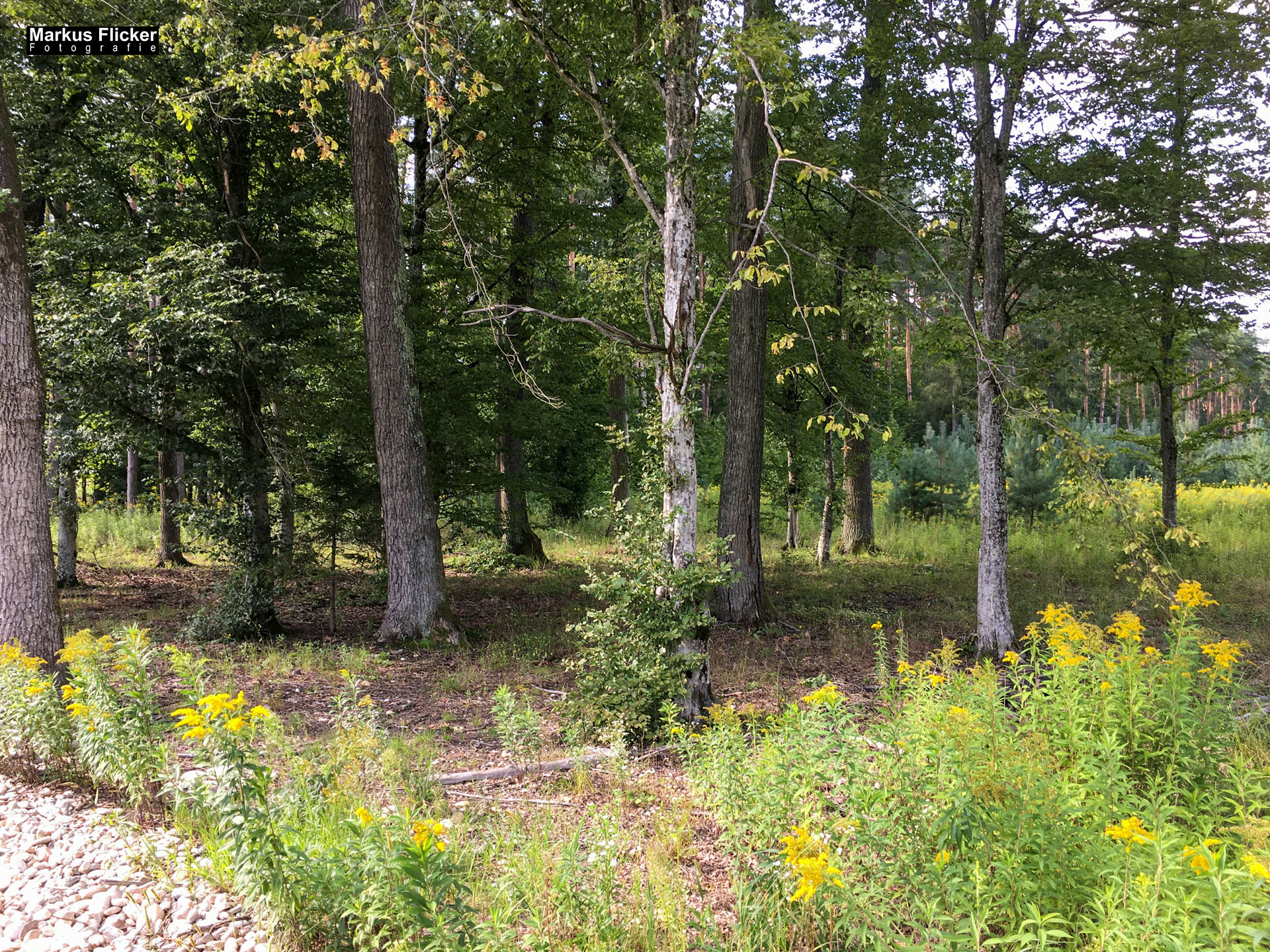 2 Länder, 5 Städte und ein paar Hundert Kilometer - geile Woche - Ungarn