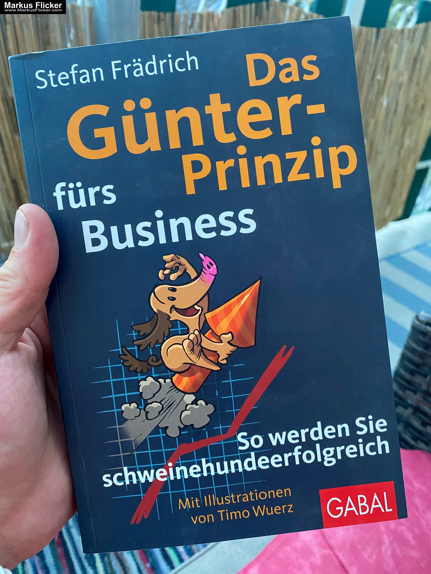 Das Günter-Prinzip fürs Business: So werden Sie schweinehundeerfolgreich (Günter, der innere Schweinehund) von Stefan Frädrich
