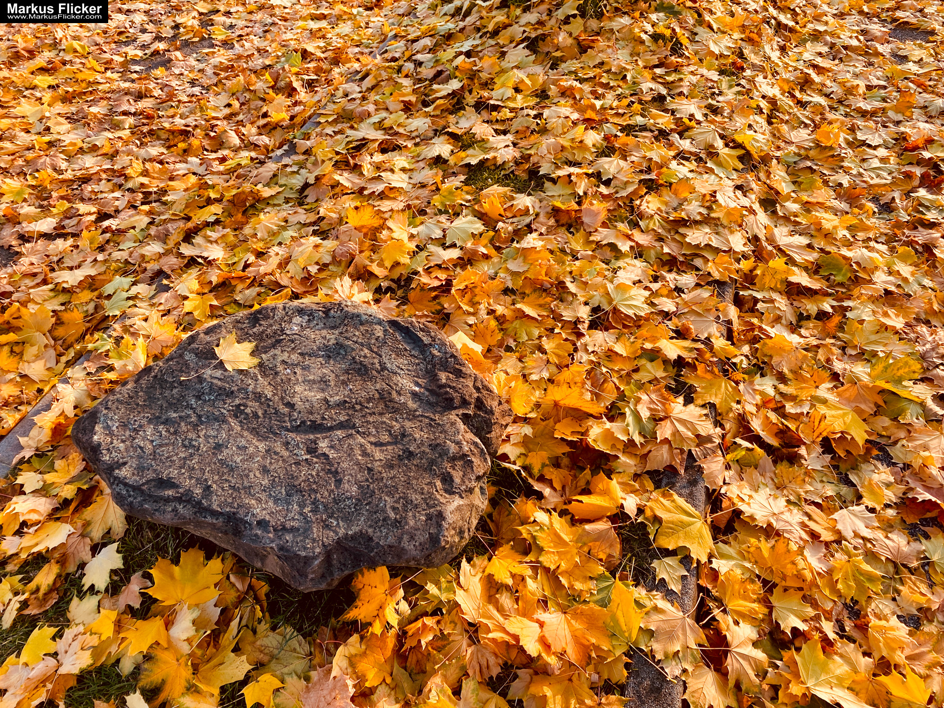 Fototipp: Hinsetzen und Beobachten! Fotografieren und Filmen mit dem Smartphone für Fotos und Videos inkl. 37 Tipps und Tricks: Smartphone-Fotografie: Profi-Tipps mit dem Handy für Freizeit, Hobby und Business Fototipp: Hinsetzen und Beobachten! Fotografieren und Filmen mit dem Smartphone für Fotos und Videos: Smartphone-Fotografie: Profi-Tipps mit dem Handy für Freizeit, Hobby und Business