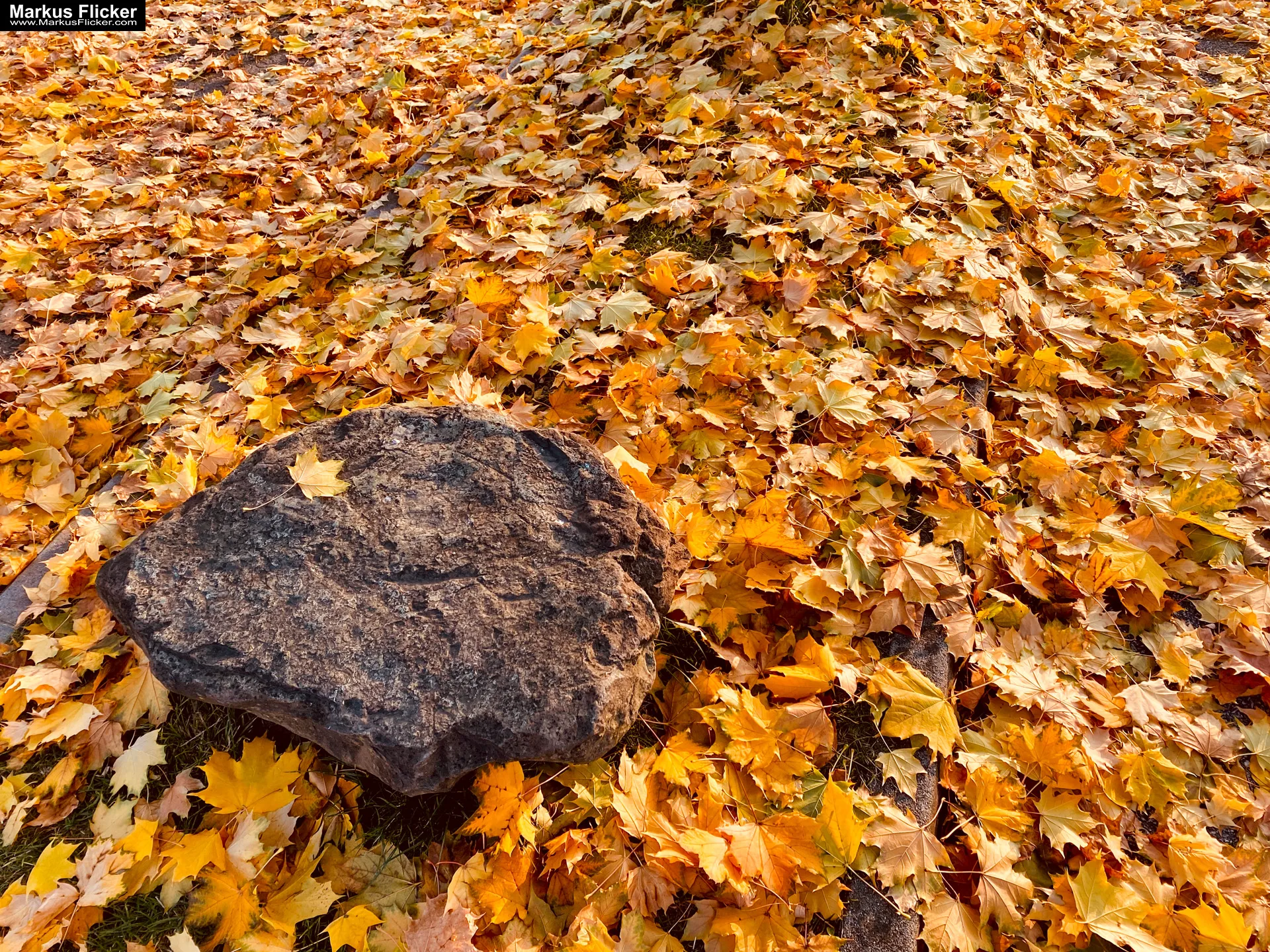 Fototipp: Hinsetzen und Beobachten! Fotografieren und Filmen mit dem Smartphone für Fotos und Videos inkl. 37 Tipps und Tricks: Smartphone-Fotografie: Profi-Tipps mit dem Handy für Freizeit, Hobby und Business Fototipp Hinsetzen und Beobachten für Anfänger und Amateure