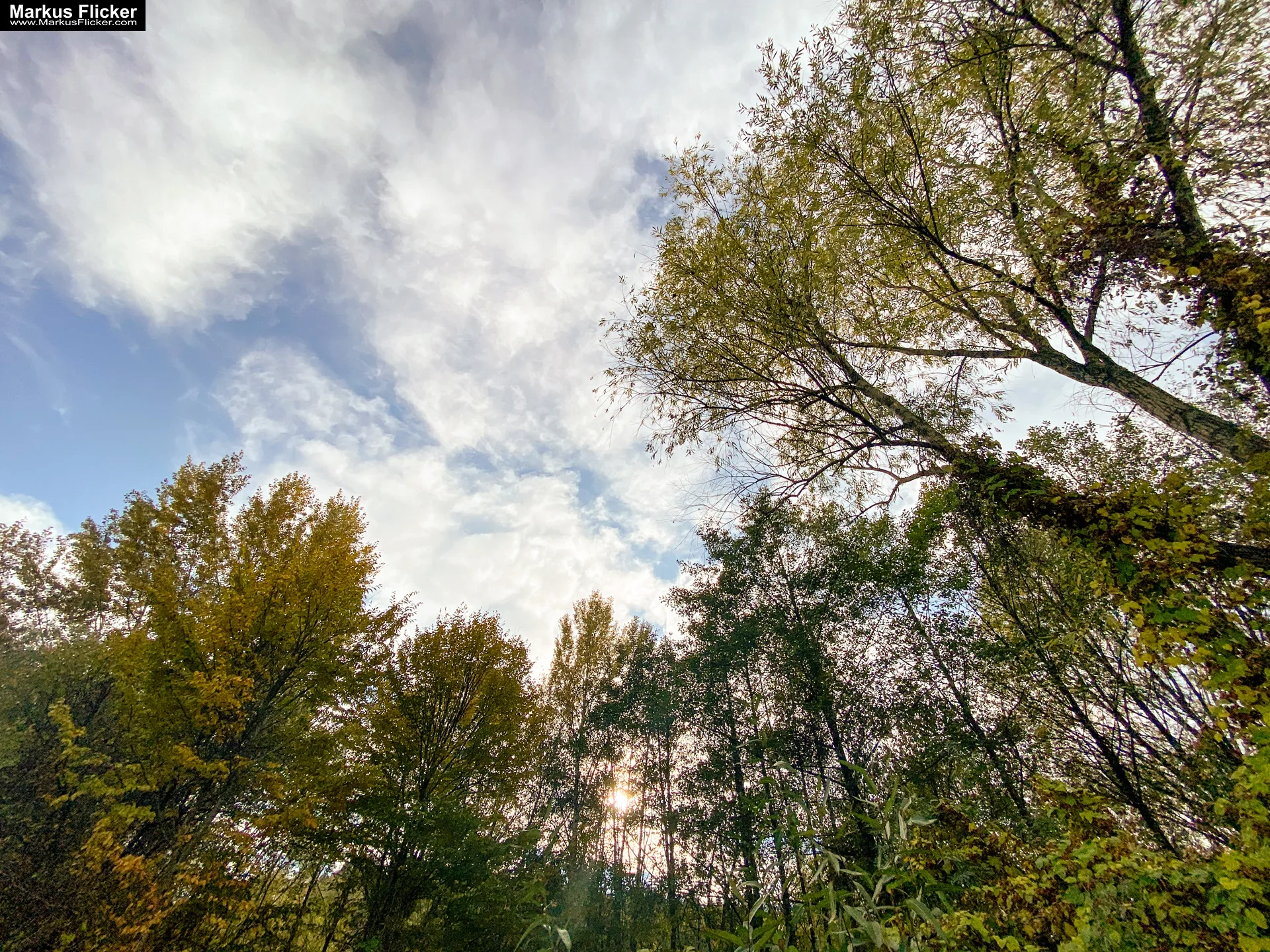 Fototipp: Hinsetzen und Beobachten! Fotografieren und Filmen mit dem Smartphone für Fotos und Videos inkl. 37 Tipps und Tricks: Smartphone-Fotografie: Profi-Tipps mit dem Handy für Freizeit, Hobby und Business Fototipp Hinsetzen und Beobachten für Anfänger und Amateure