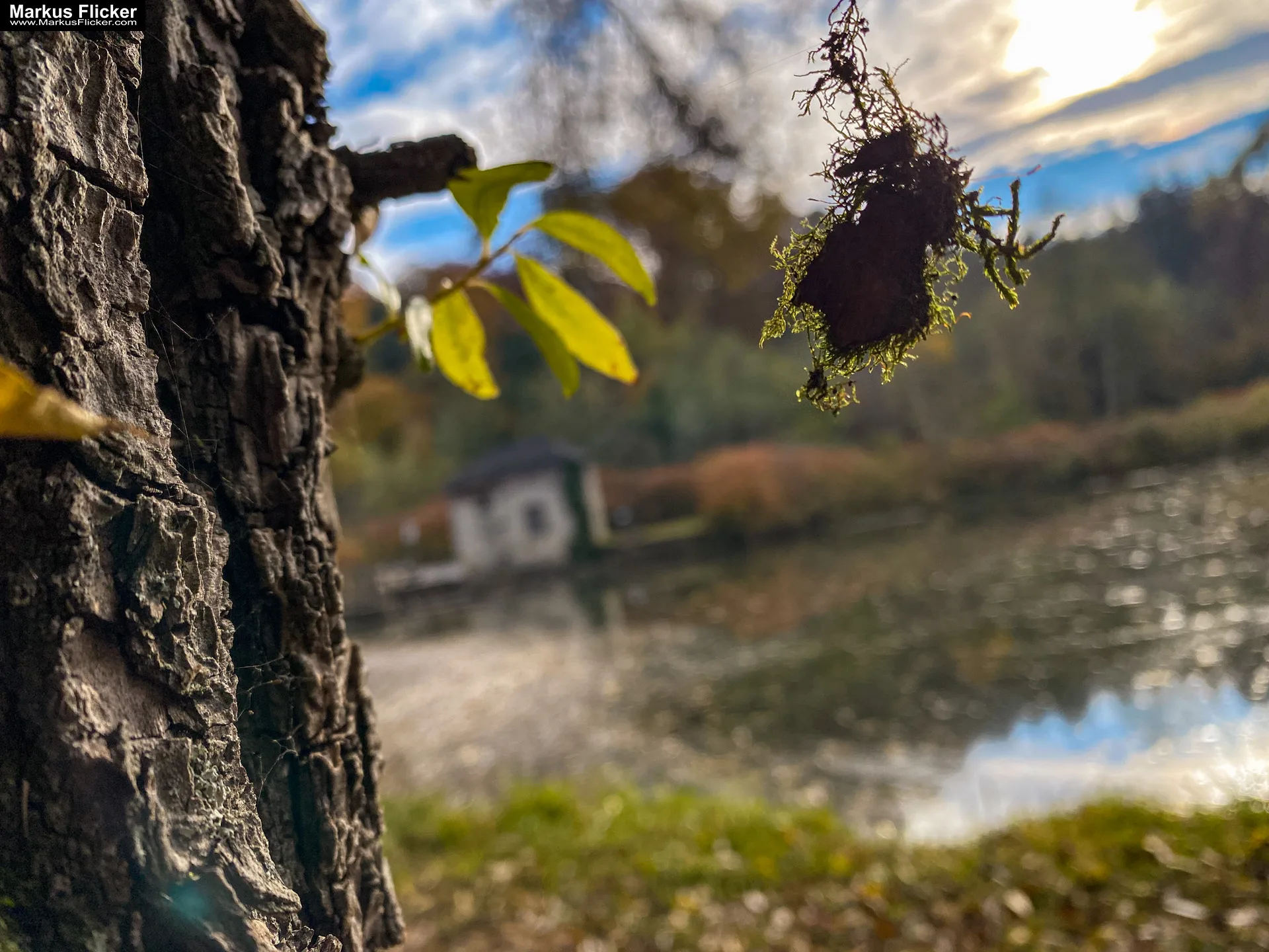 Fototipp: Hinsetzen und Beobachten! Fotografieren und Filmen mit dem Smartphone für Fotos und Videos inkl. 37 Tipps und Tricks: Smartphone-Fotografie: Profi-Tipps mit dem Handy für Freizeit, Hobby und Business Fototipp Hinsetzen und Beobachten für Anfänger und Amateure