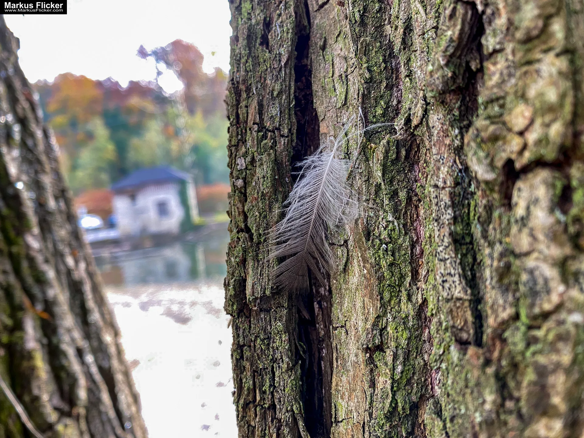 Fototipp: Hinsetzen und Beobachten! Fotografieren und Filmen mit dem Smartphone für Fotos und Videos inkl. 37 Tipps und Tricks: Smartphone-Fotografie: Profi-Tipps mit dem Handy für Freizeit, Hobby und Business Fototipp Hinsetzen und Beobachten für Anfänger und Amateure