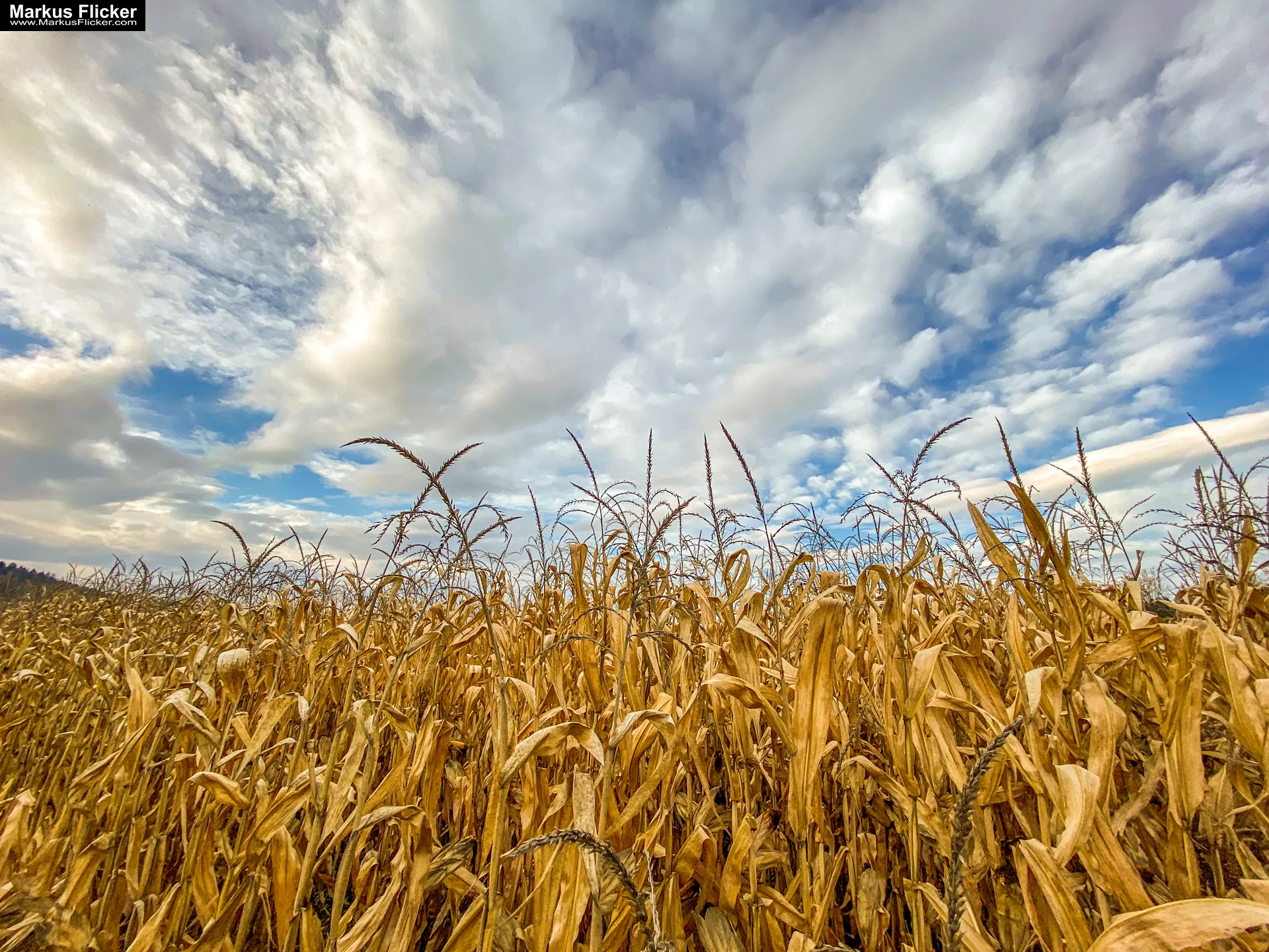 Fototipp: Hinsetzen und Beobachten! Fotografieren und Filmen mit dem Smartphone für Fotos und Videos inkl. 37 Tipps und Tricks: Smartphone-Fotografie: Profi-Tipps mit dem Handy für Freizeit, Hobby und Business Fototipp Hinsetzen und Beobachten für Anfänger und Amateure