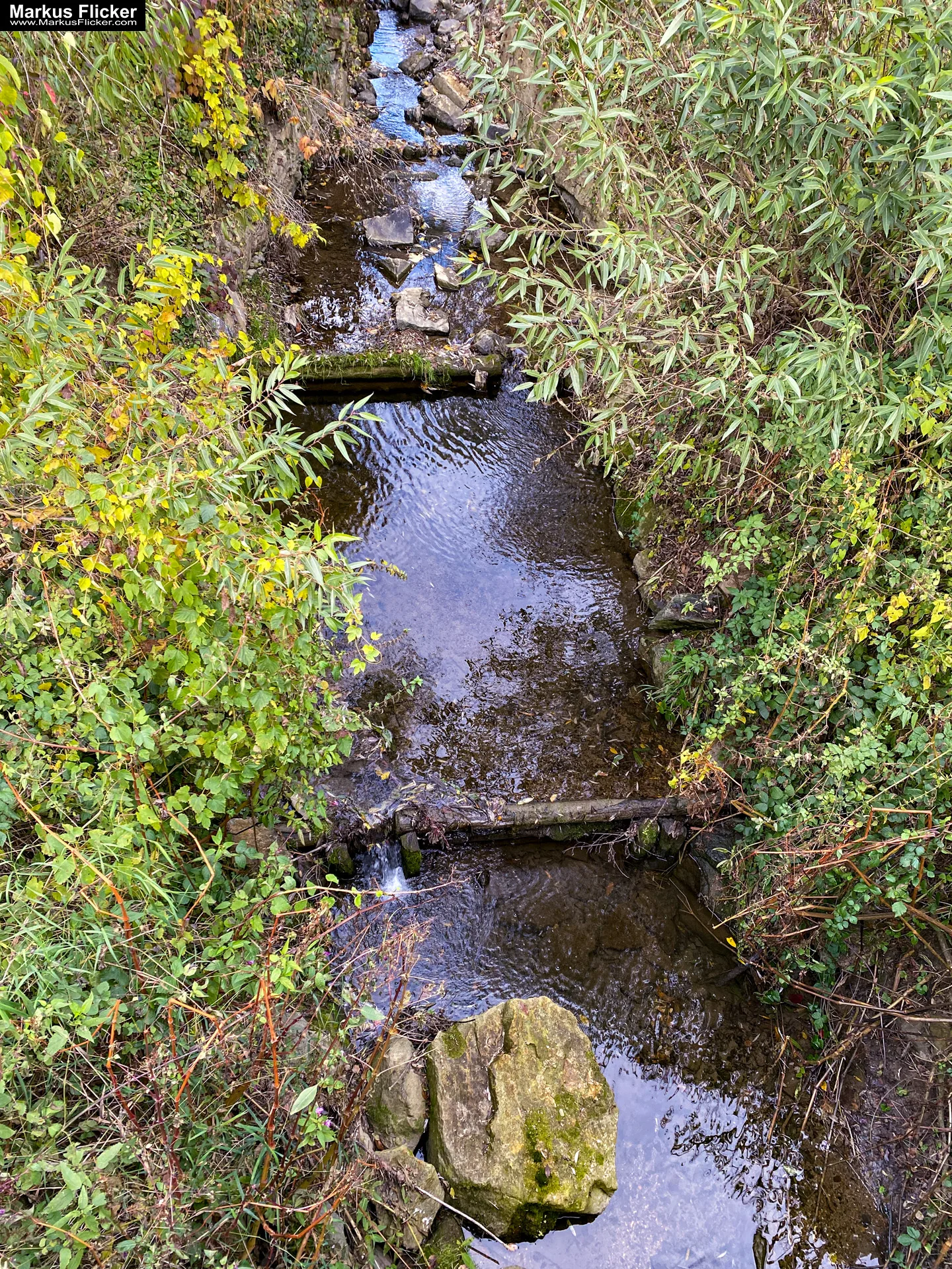 Fototipp: Hinsetzen und Beobachten! Fotografieren und Filmen mit dem Smartphone für Fotos und Videos inkl. 37 Tipps und Tricks: Smartphone-Fotografie: Profi-Tipps mit dem Handy für Freizeit, Hobby und Business Fototipp Hinsetzen und Beobachten für Anfänger und Amateure