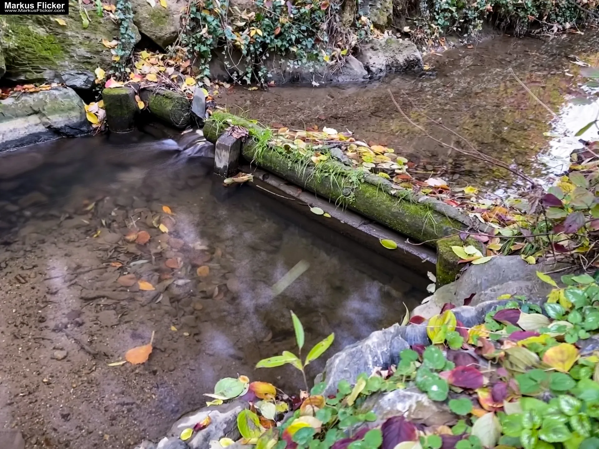 Fototipp: Hinsetzen und Beobachten! Fotografieren und Filmen mit dem Smartphone für Fotos und Videos inkl. 37 Tipps und Tricks: Smartphone-Fotografie: Profi-Tipps mit dem Handy für Freizeit, Hobby und Business Fototipp Hinsetzen und Beobachten für Anfänger und Amateure