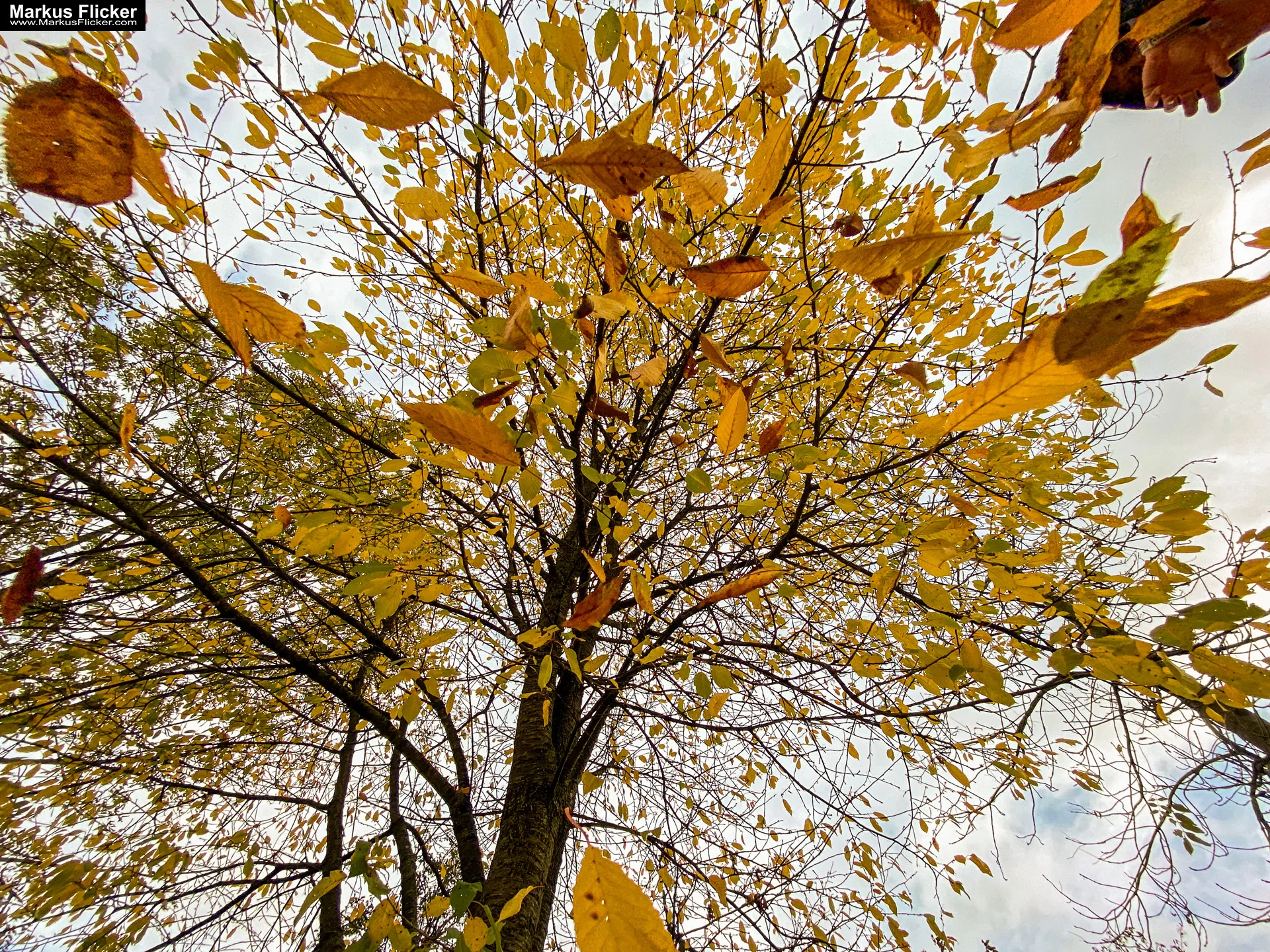 Fototipp: Hinsetzen und Beobachten! Fotografieren und Filmen mit dem Smartphone für Fotos und Videos inkl. 37 Tipps und Tricks: Smartphone-Fotografie: Profi-Tipps mit dem Handy für Freizeit, Hobby und Business Fototipp: Hinsetzen und Beobachten! Fotografieren und Filmen mit dem Smartphone für Fotos und Videos: Smartphone-Fotografie: Profi-Tipps mit dem Handy für Freizeit, Hobby und Business