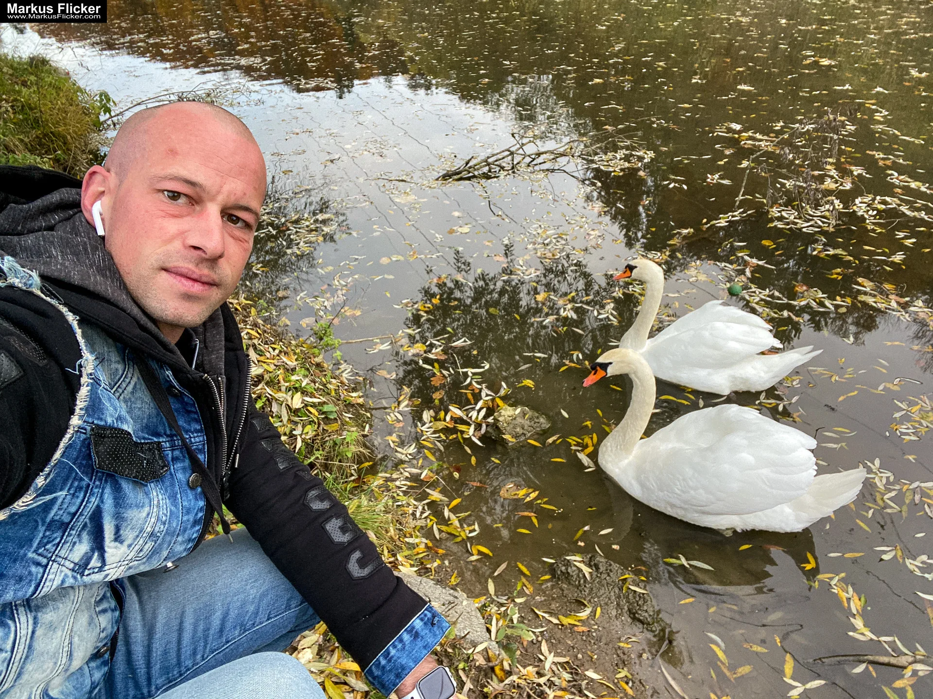 Fotografieren und Filmen von Schwänen am Fluss im Herbst mit der Kamera und dem Smartphone inkl. 8 Fototipps. Fotografieren und Filmen mit dem Smartphone: Bessere Fotos und Videos mit dem Handy für Freizeit, Hobby und Business