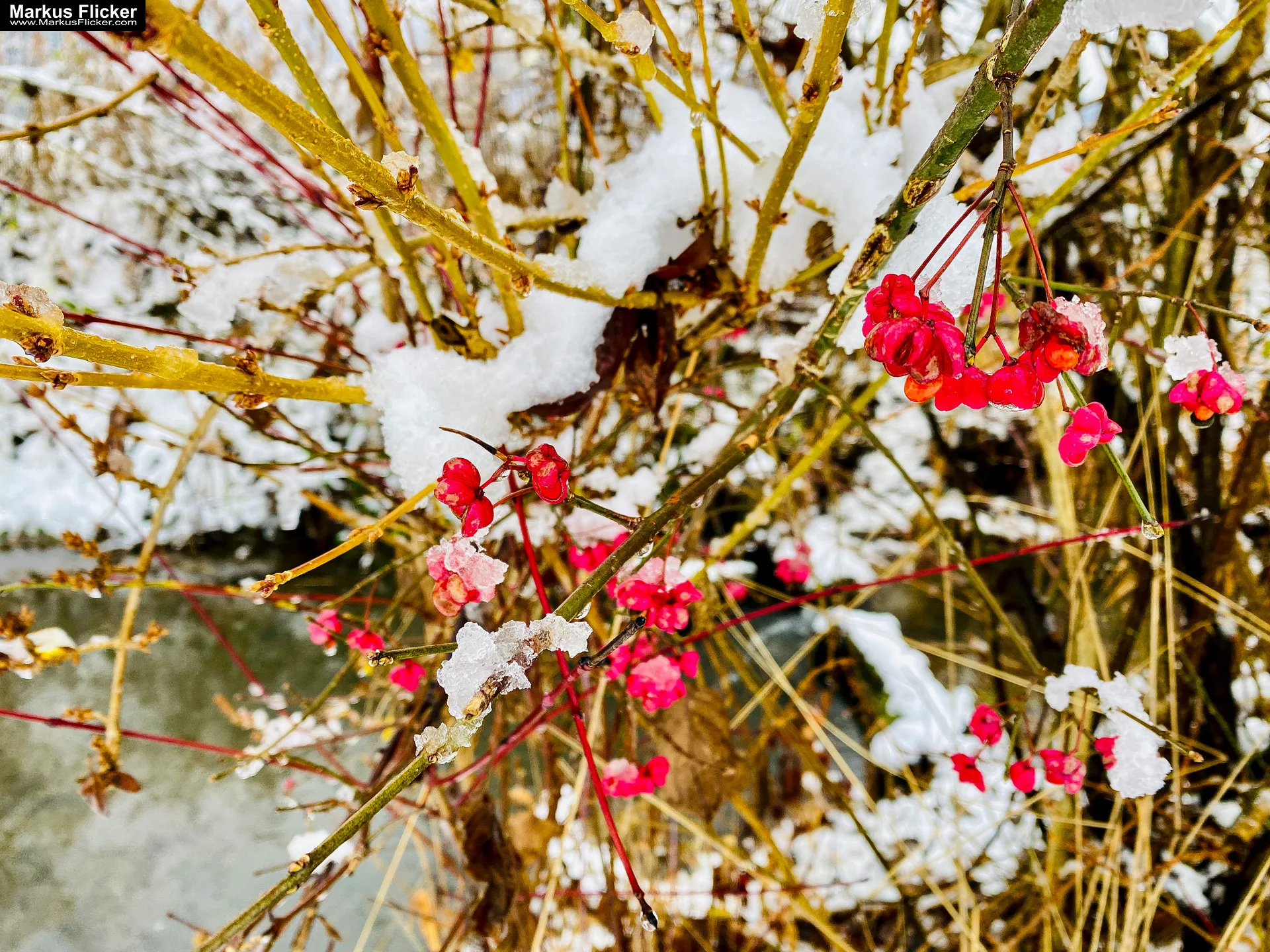 Fotografie Winterstart Steiermark Österreich Fotografieren im Winter Landschaft und Natur