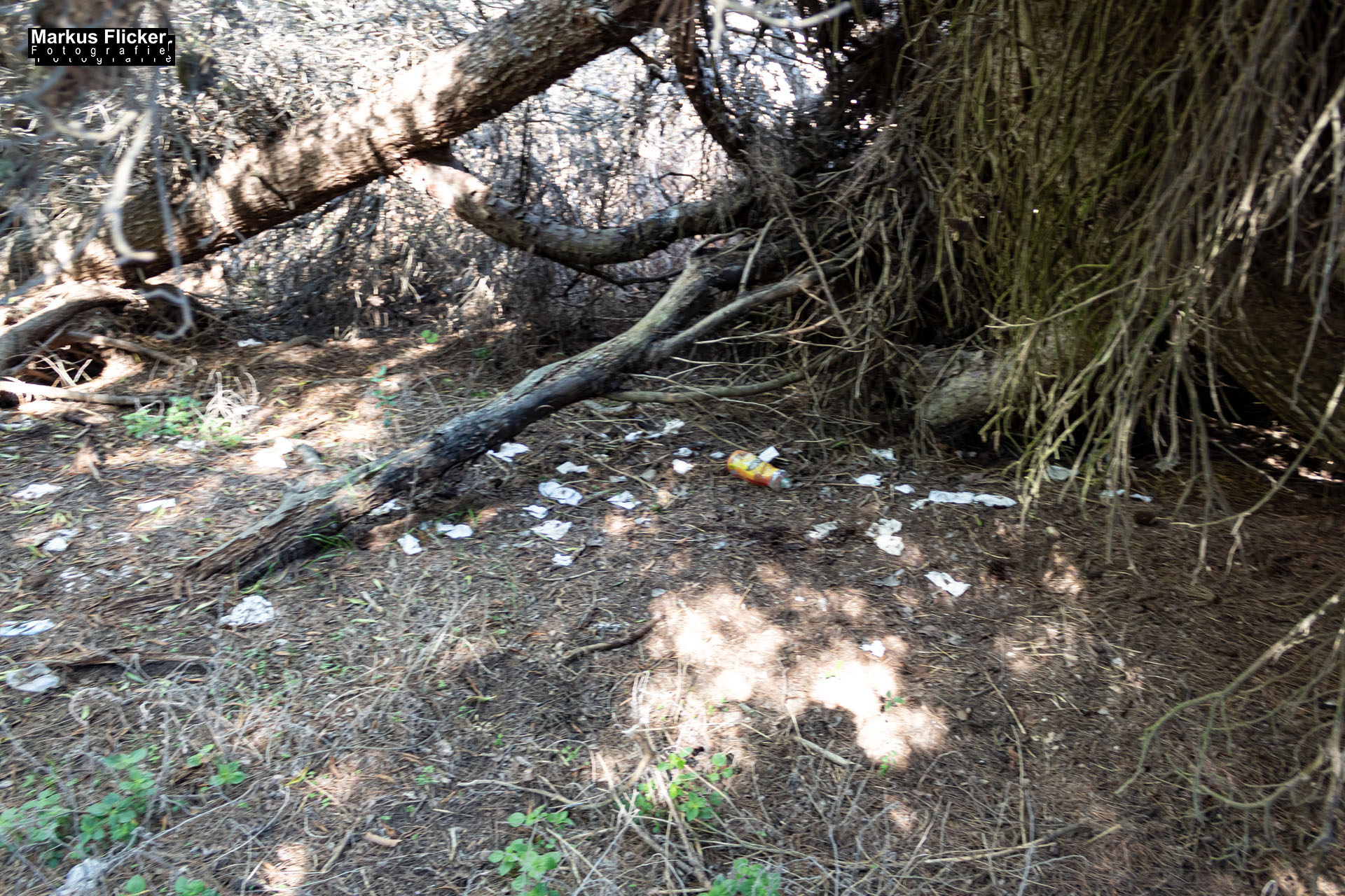 Cala Agulla und Cala Molto auf Mallorca in Spanien aCala Agulla und Cala Molto auf Mallorca in Spanien