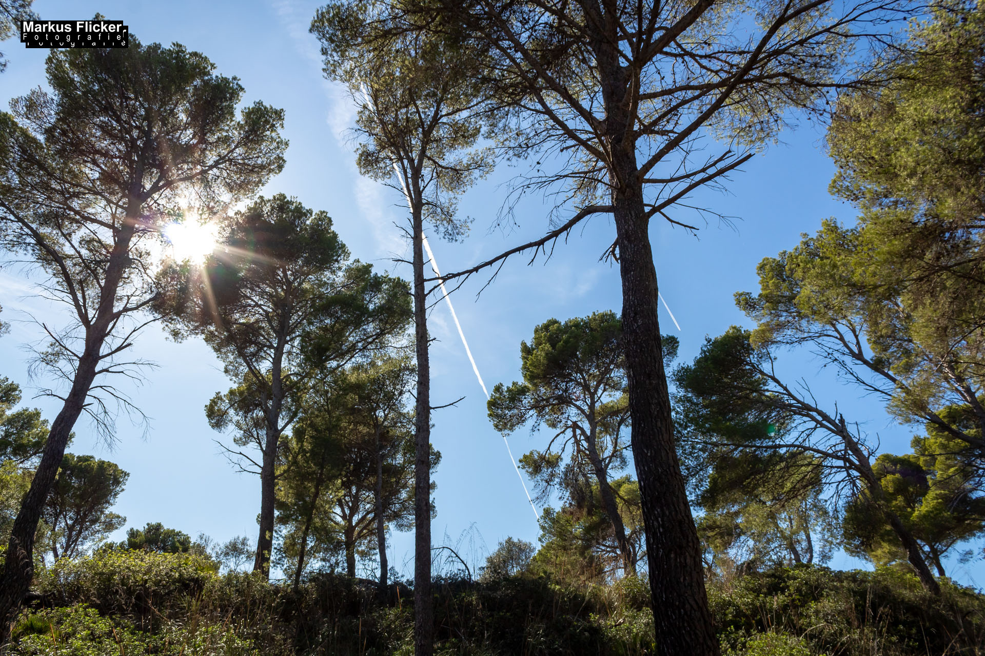 Cala Agulla und Cala Molto auf Mallorca in Spanien Cala Agulla und Cala Molto auf Mallorca in Spanien