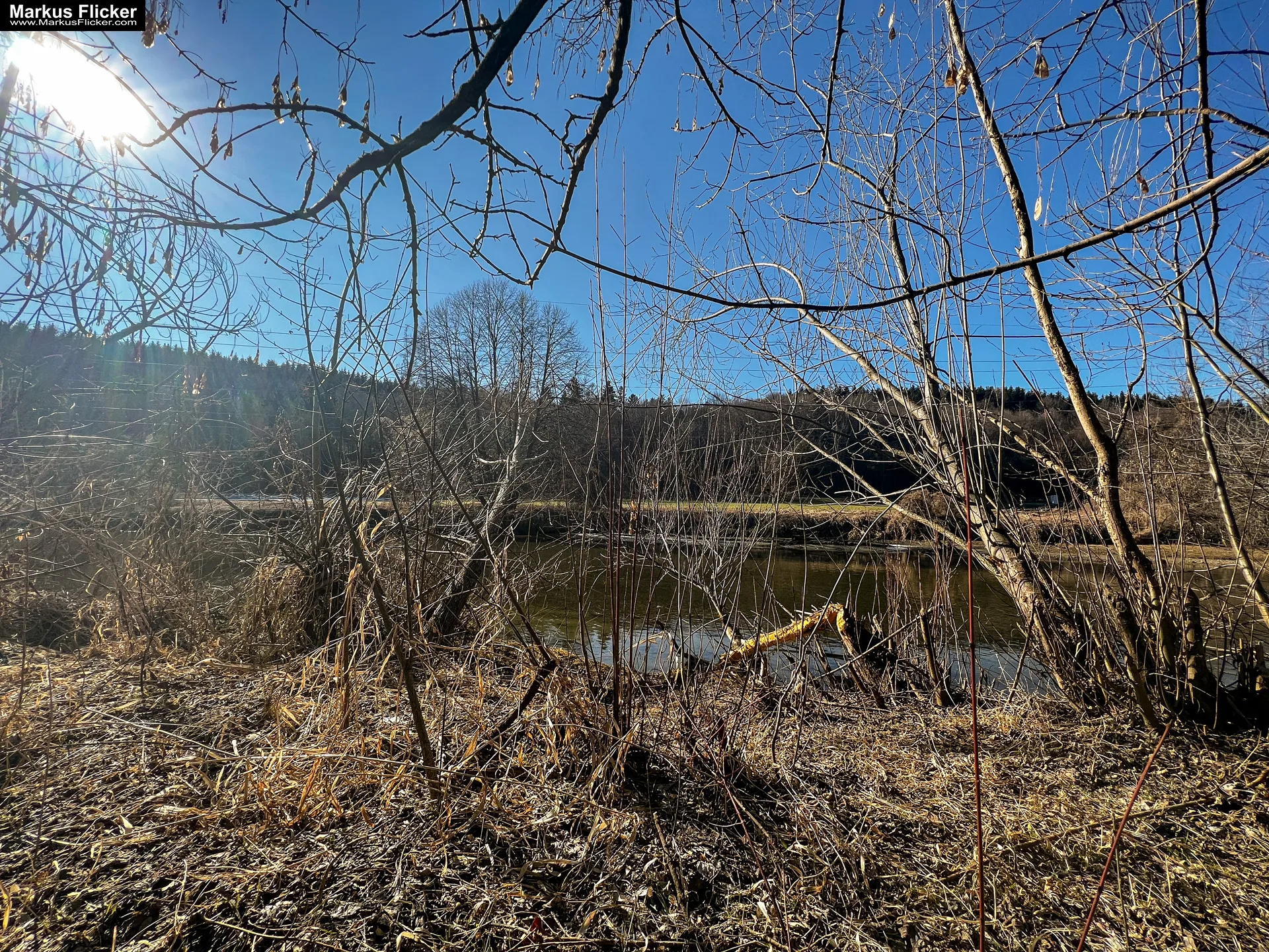 Quicktipp Tierfotografie: Fresse halten und Ruhe bewahren ;) Leise sein statt Mega Tele Objektiv / Nutria am Fluss / Naturfotografie Landschaftsfotografie. Fotografieren und Filmen mit dem Smartphone: Bessere Fotos und Videos mit dem Handy für Freizeit, Hobby und Business Quicktipp Tierfotografie: Fresse halten und Ruhe bewahren ;) Nahaufnahmen mit dem Smartphone statt Mega Tele Objektiv / Nutria am Fluss