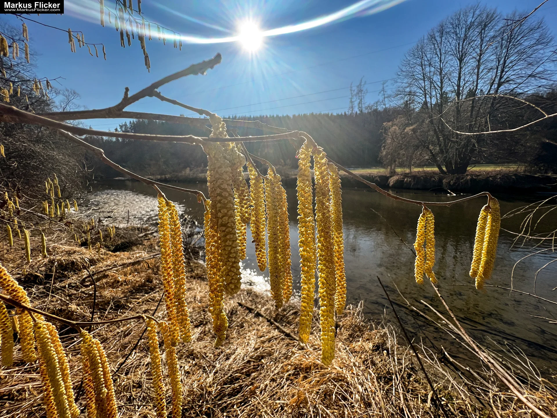 Quicktipp Tierfotografie: Fresse halten und Ruhe bewahren ;) Leise sein statt Mega Tele Objektiv / Nutria am Fluss / Naturfotografie Landschaftsfotografie. Fotografieren und Filmen mit dem Smartphone: Bessere Fotos und Videos mit dem Handy für Freizeit, Hobby und Business Quicktipp Tierfotografie: Fresse halten und Ruhe bewahren ;) Nahaufnahmen mit dem Smartphone statt Mega Tele Objektiv / Nutria am Fluss