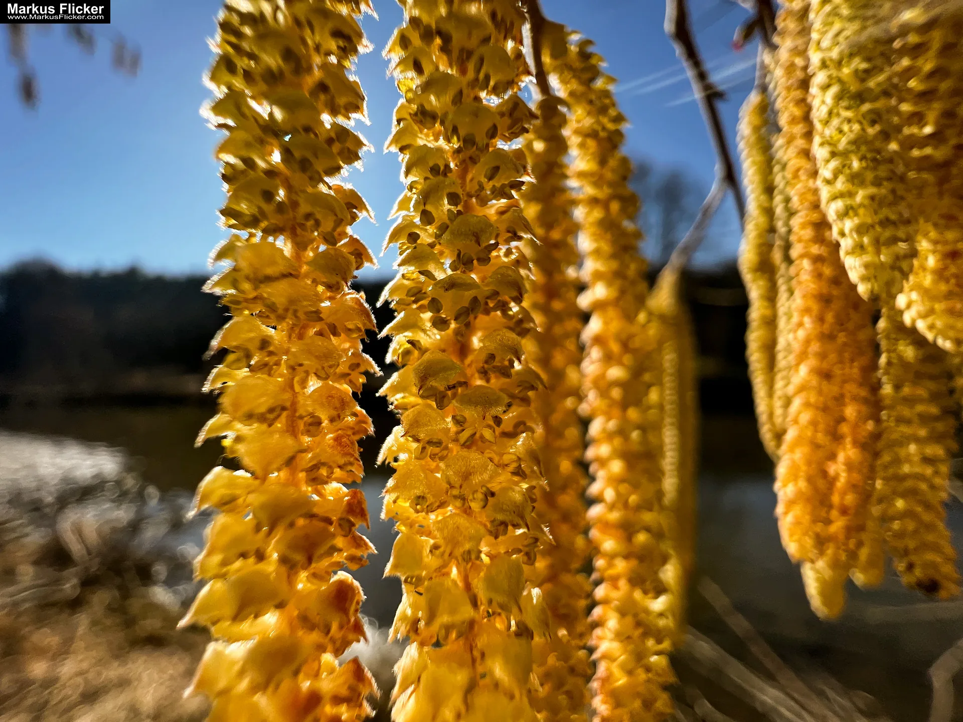 Quicktipp Tierfotografie: Fresse halten und Ruhe bewahren ;) Leise sein statt Mega Tele Objektiv / Nutria am Fluss / Naturfotografie Landschaftsfotografie. Fotografieren und Filmen mit dem Smartphone: Bessere Fotos und Videos mit dem Handy für Freizeit, Hobby und Business Quicktipp Tierfotografie: Fresse halten und Ruhe bewahren ;) Nahaufnahmen mit dem Smartphone statt Mega Tele Objektiv / Nutria am Fluss