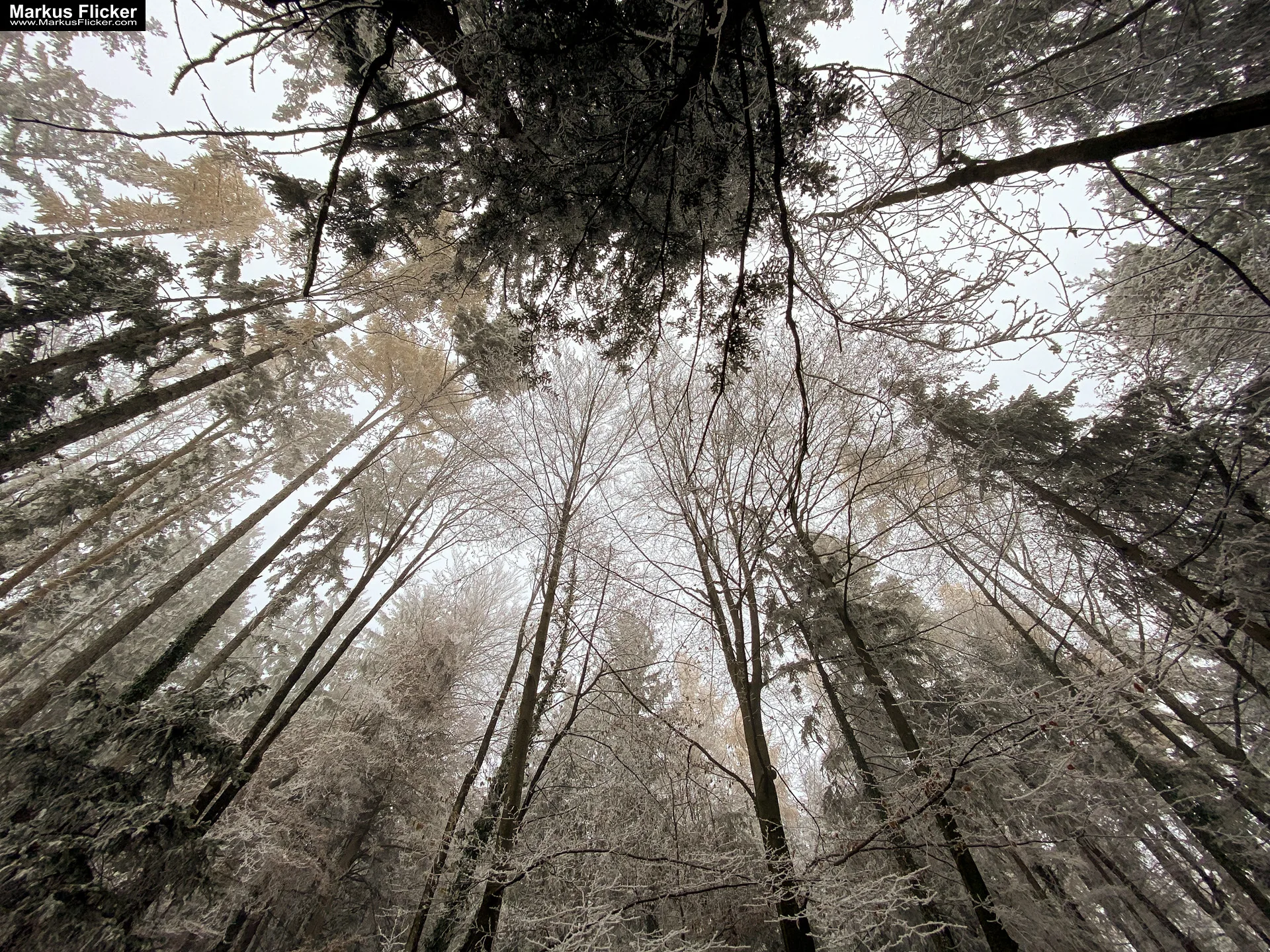 Wie man mit Weitwinkel Objektiven und Smartphones beeindruckende Fotos und Videos aufnimmt. Kreative Fotografie, Videos und Bildideen mit dem Handy. Fotografieren und Filmen mit dem Smartphone: Bessere Fotos und Videos mit dem Handy für Freizeit, Hobby und Business Entdecke die Kreativität: Wie man mit Weitwinkel-Objektiven und Smartphones beeindruckende Fotos und Videos aufnimmt. Kreative Fotografie, Videos und Bildideen mit dem Handy. Fotografieren und Filmen mit dem Smartphone: Bessere Fotos und Videos mit dem Handy für Freizeit, Hobby und Business