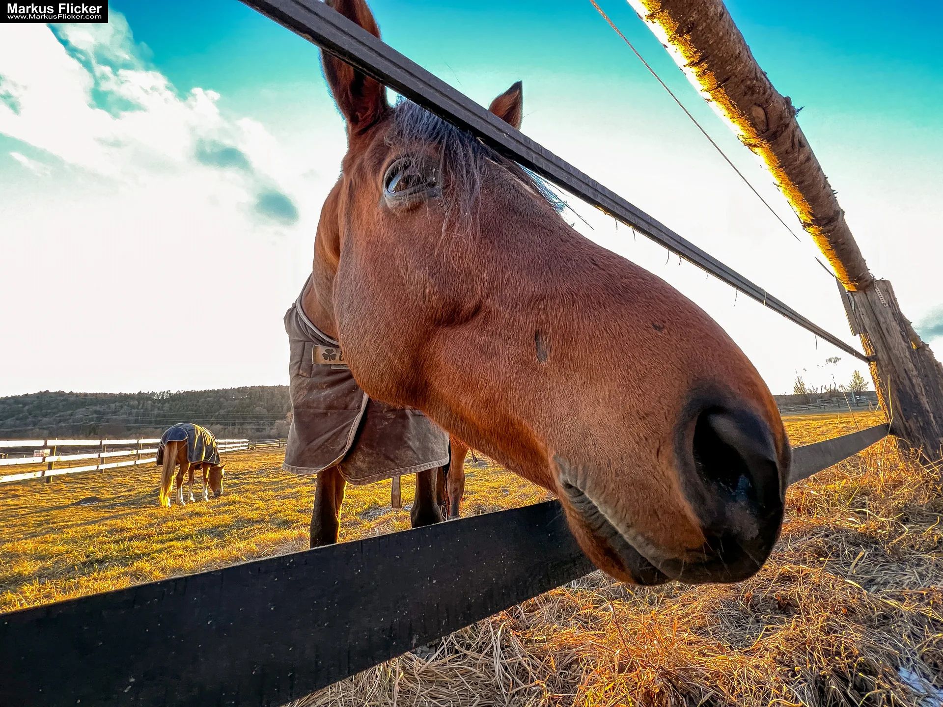 Wie man mit Weitwinkel Objektiven und Smartphones beeindruckende Fotos und Videos aufnimmt. Kreative Fotografie, Videos und Bildideen mit dem Handy. Fotografieren und Filmen mit dem Smartphone: Bessere Fotos und Videos mit dem Handy für Freizeit, Hobby und Business Entdecke die Kreativität: Wie man mit Weitwinkel-Objektiven und Smartphones beeindruckende Fotos und Videos aufnimmt. Kreative Fotografie, Videos und Bildideen mit dem Handy. Fotografieren und Filmen mit dem Smartphone: Bessere Fotos und Videos mit dem Handy für Freizeit, Hobby und Business