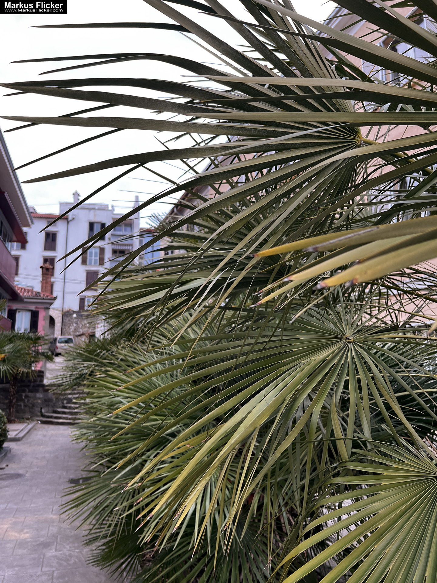 Reisefotografie Reisen und Leben Travelblog Reiseberichte Reisefotografie und Fotoreise Graz Steiermark Slowenien Kroatien Italien Ungarn inkl. 37 ausführliche Fototipps und Bildideen Koper Seehafenstadt in Slowenien an der Adria Istrien