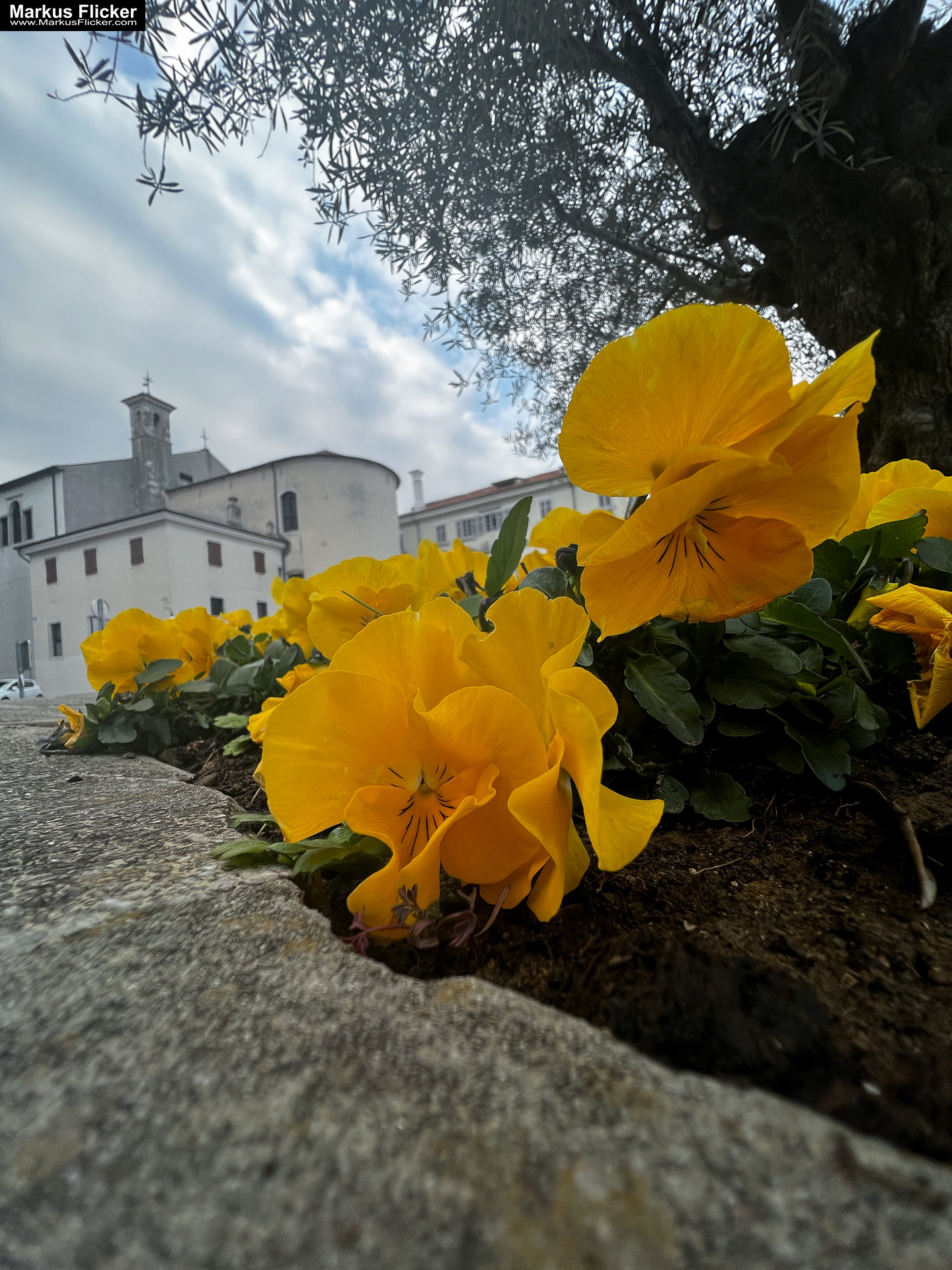 Reisefotografie Reisen und Leben Travelblog Reiseberichte Reisefotografie und Fotoreise Graz Steiermark Slowenien Kroatien Italien Ungarn inkl. 37 ausführliche Fototipps und Bildideen Koper Seehafenstadt in Slowenien an der Adria Istrien #visitslovenia #ifeelslovenia #visitkoper