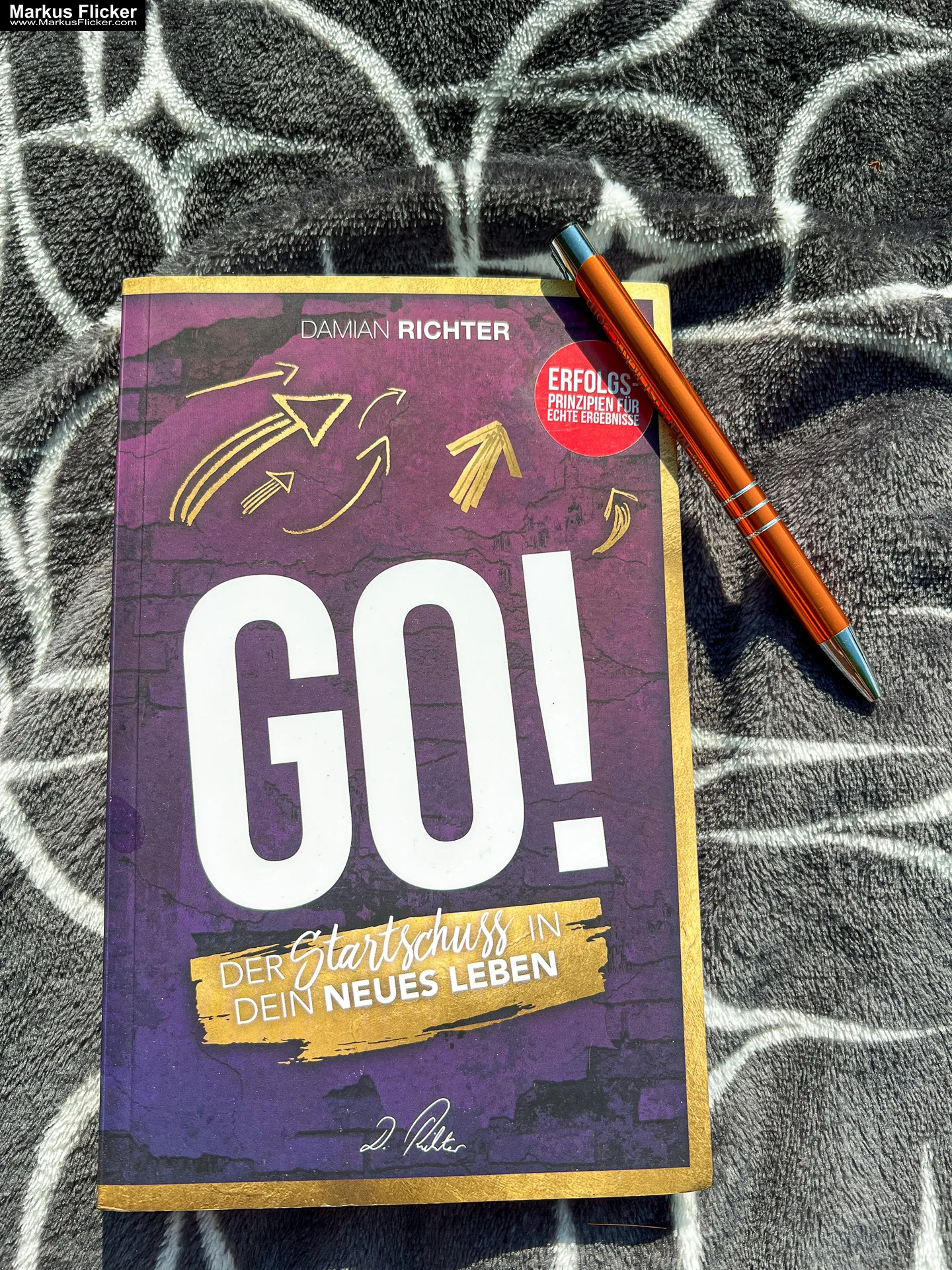 DAMIAN RICHTER Buch GO! Der Startschuss in dein neues Leben! (H.Scherer, A.Robbins) von DAMIAN RICHTER