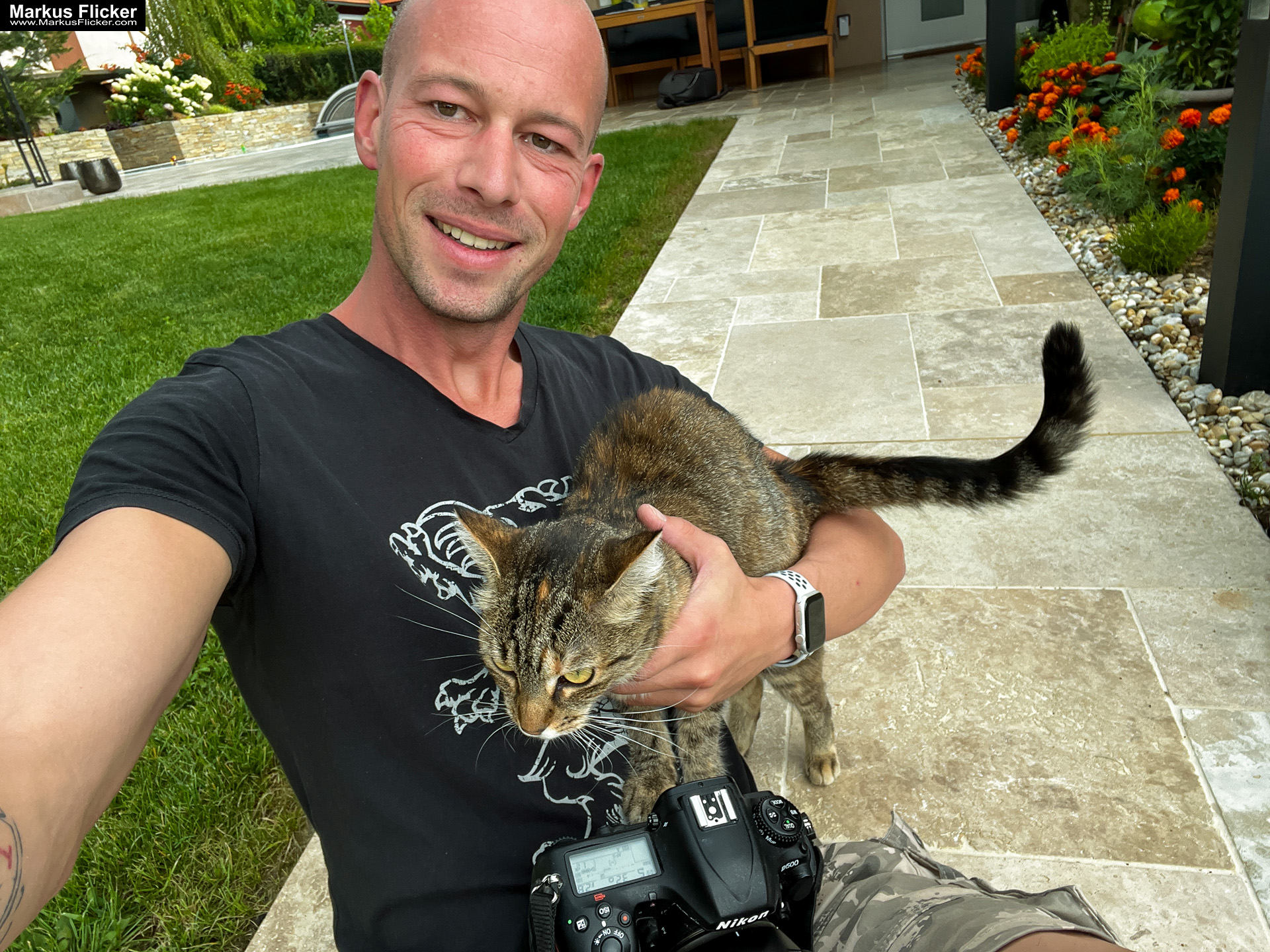 Schmusekatze während dem Fotografieren 🐈😻😺