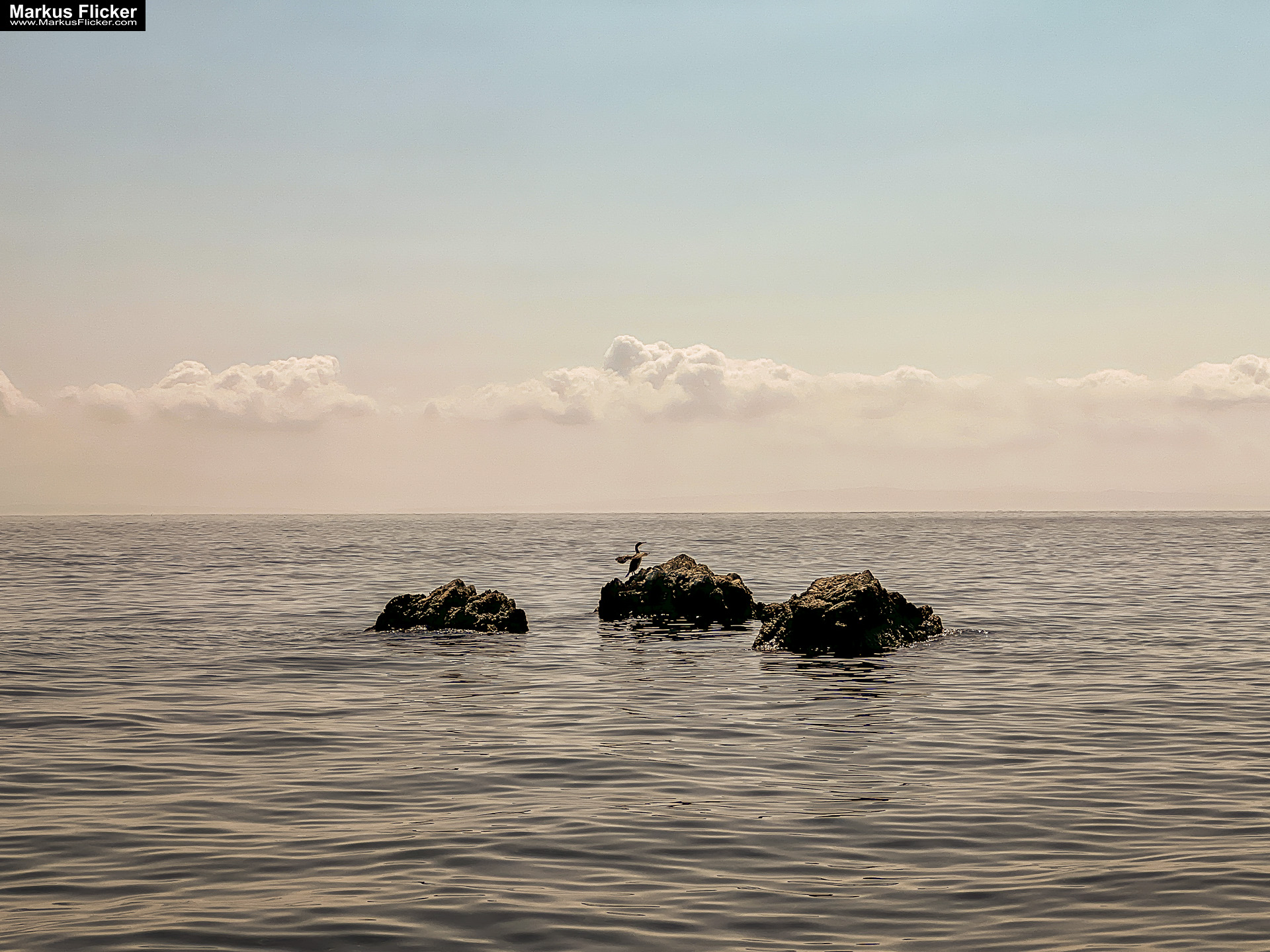 Reisefotografie Reisen und Leben Travelblog Reiseberichte Reisefotografie und Fotoreise Graz Steiermark Slowenien Kroatien Italien Ungarn inkl. 37 ausführliche Fototipps und Bildideen Lovran Ufer Küste Primorje-Gorski kotar Lorbeer Istrien Kroatien Adria #visitcroatia #visitlovran