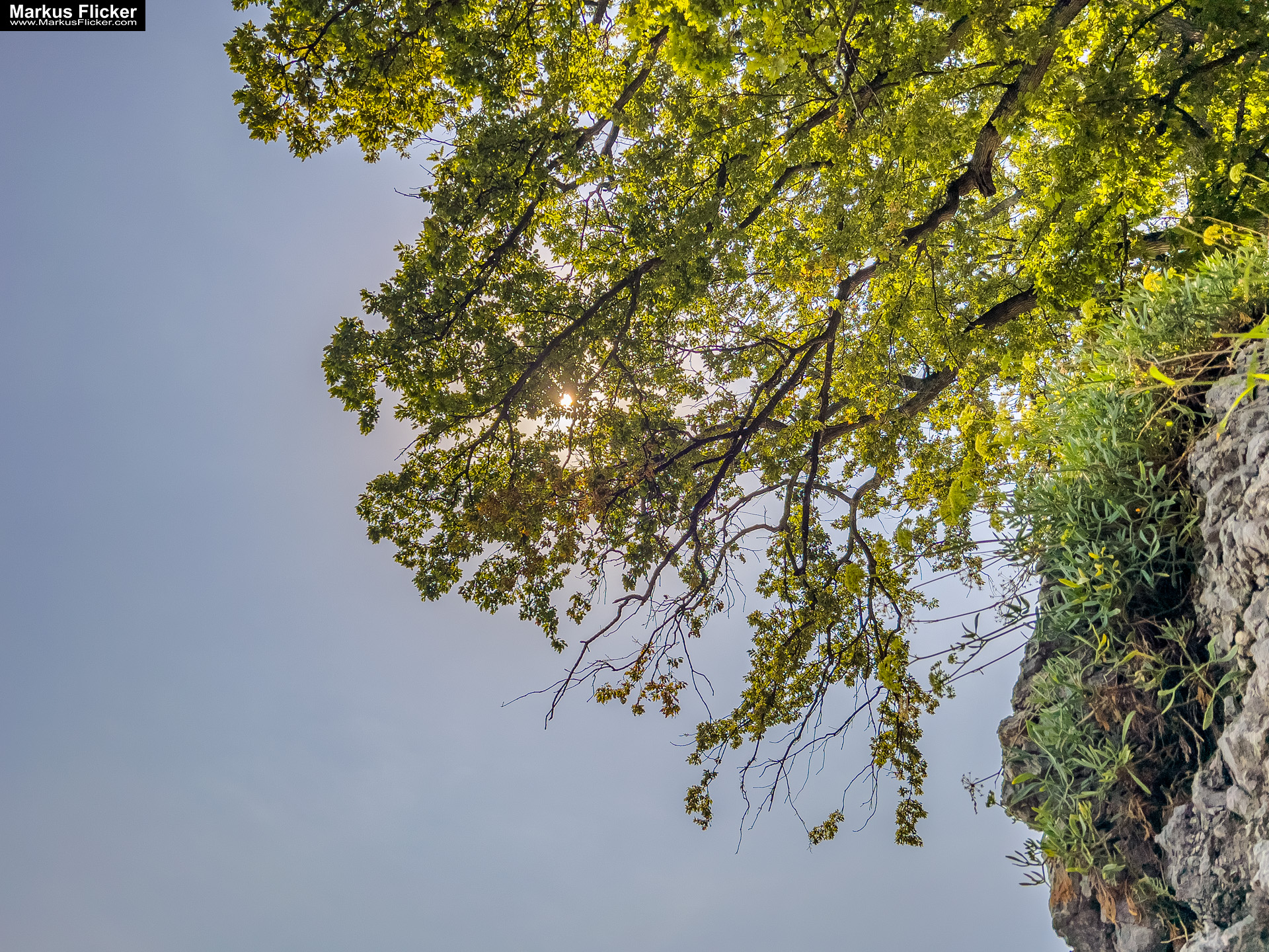 Lovran Ufer Küste Primorje-Gorski kotar Lorbeer Istrien Kroatien Adria #visitcroatia #visitlovran Lovran Ufer Küste Primorje-Gorski kotar Lorbeer Istrien Kroatien Adria #visitcroatia #visitlovran