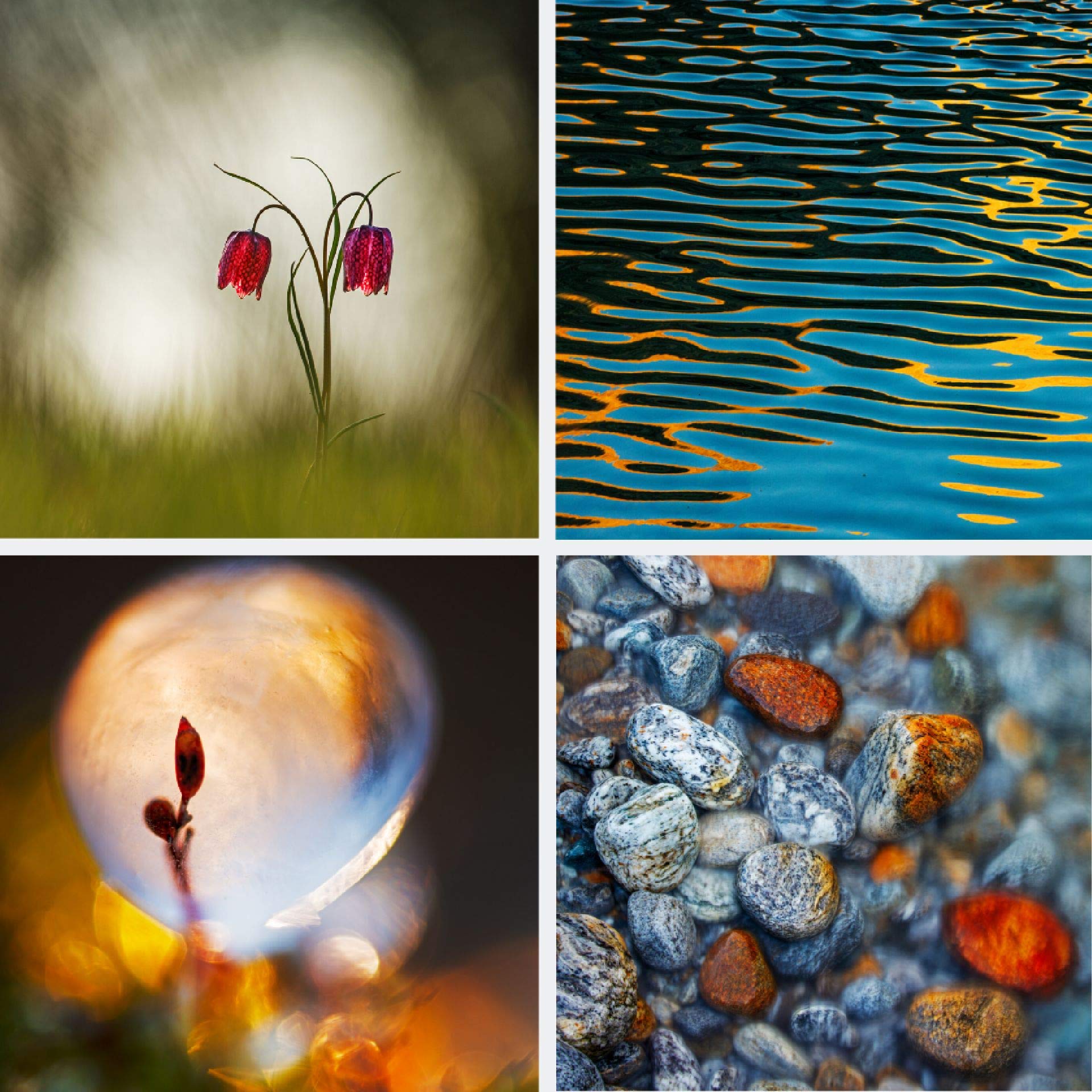 Workshop Naturfotografie vor der eigenen Haustür: Die geheimen Profi-Tricks. Tier-, Makro- und Landschaftsfotografie in Deutschland & drumherum von Radomir Jakubowski Workshop Naturfotografie vor der eigenen Haustür: Die geheimen Profi-Tricks. Tier-, Makro- und Landschaftsfotografie in Deutschland & drumherum von Radomir Jakubowski