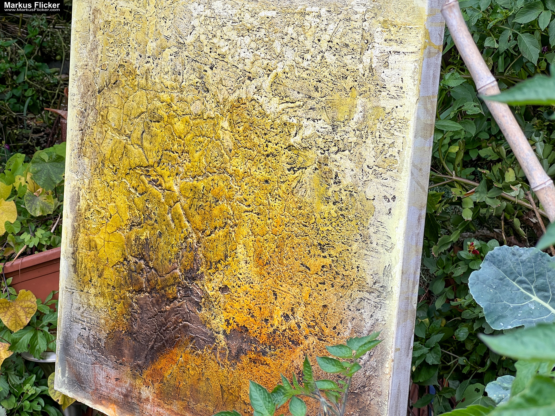 Eva Hollinger in Graz. Fotos und Video von der Ausstellung "My First Solo" Ausstellung "My First Solo" von Eva Hollinger in Graz