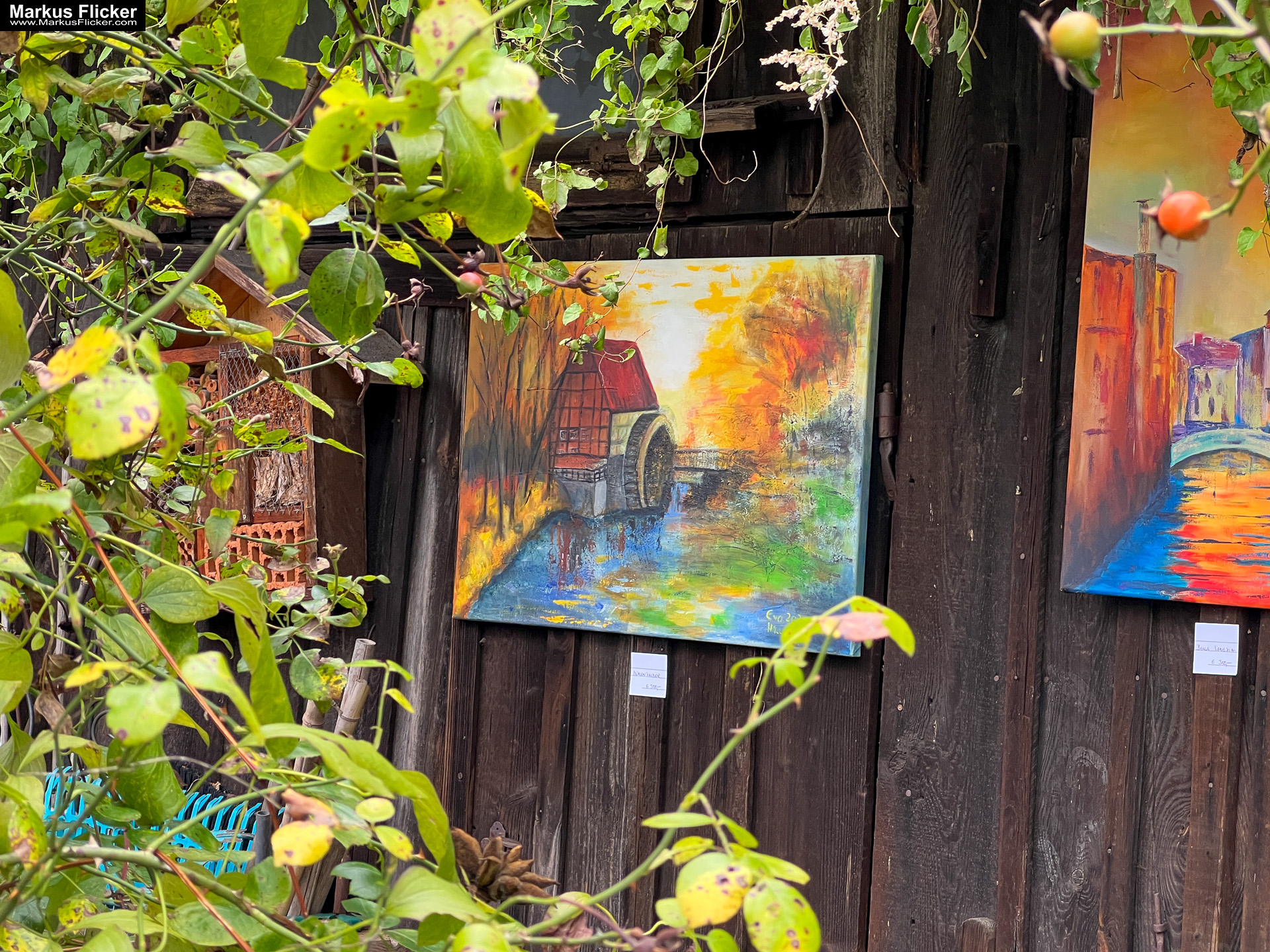 Eva Hollinger in Graz. Fotos und Video von der Ausstellung "My First Solo" Ausstellung "My First Solo" von Eva Hollinger in Graz