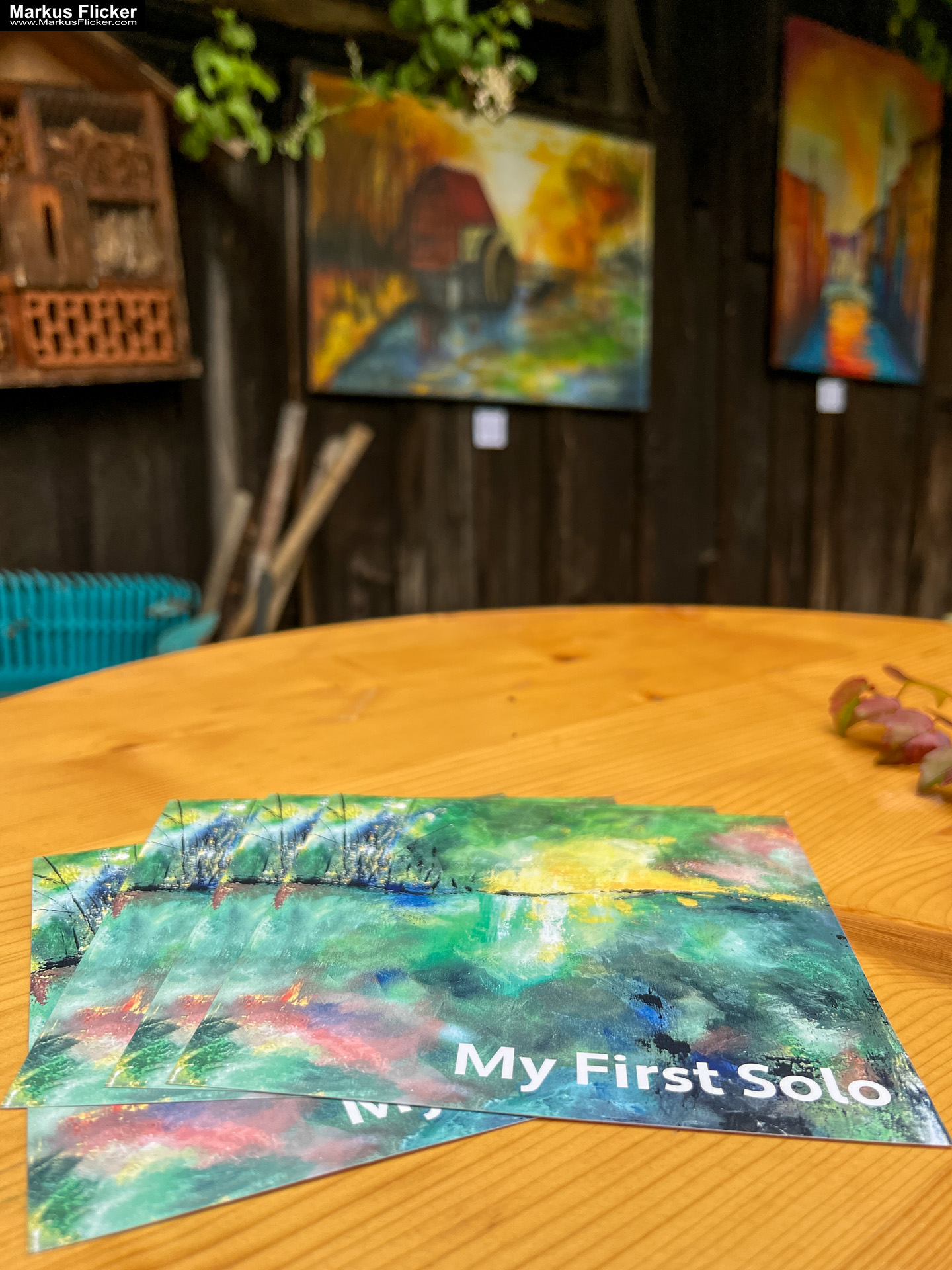 Eva Hollinger in Graz. Fotos und Video von der Ausstellung "My First Solo" Ausstellung "My First Solo" von Eva Hollinger in Graz