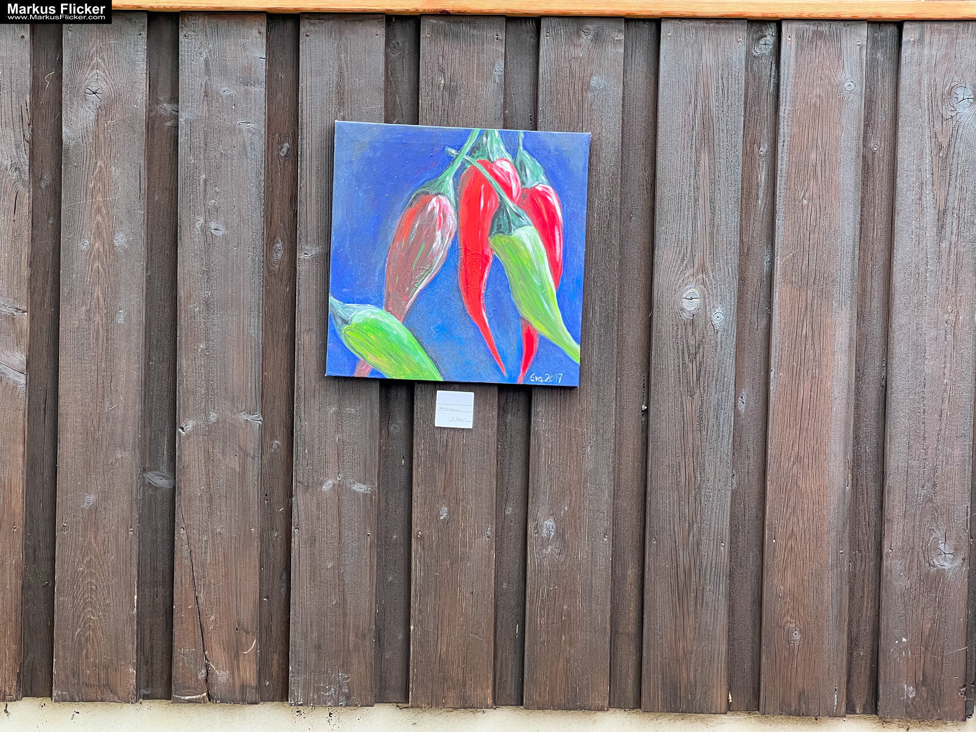 Eva Hollinger in Graz. Fotos und Video von der Ausstellung "My First Solo" Ausstellung "My First Solo" von Eva Hollinger in Graz