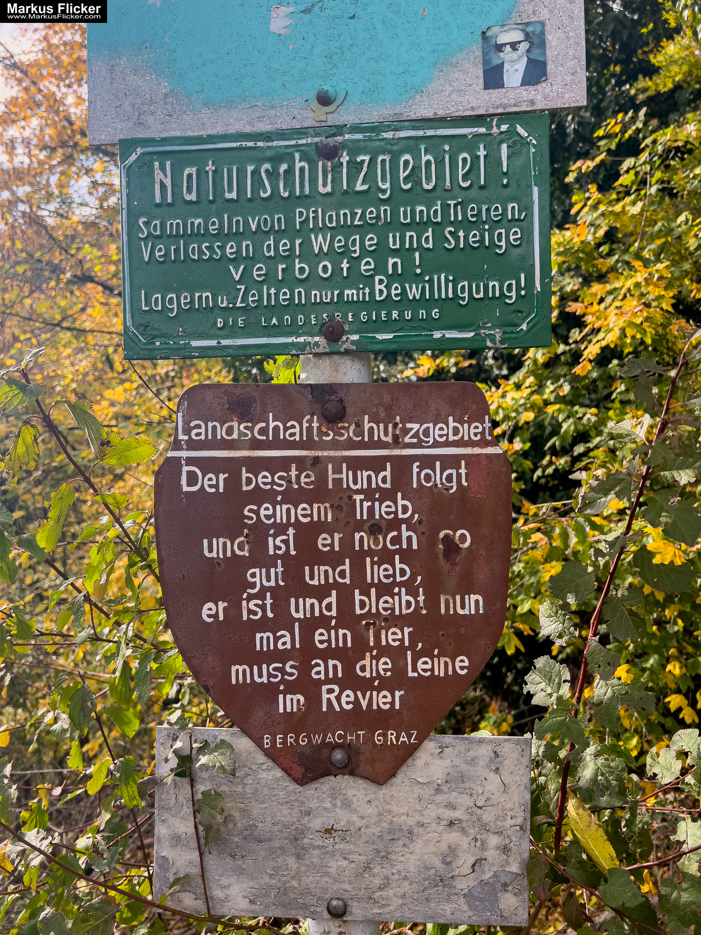 Burgruine Gösting und Jungfernsprung Graz Steiermark Österreich #visitstyria Burgruine Gösting Graz Steiermark Österreich #visitstyria