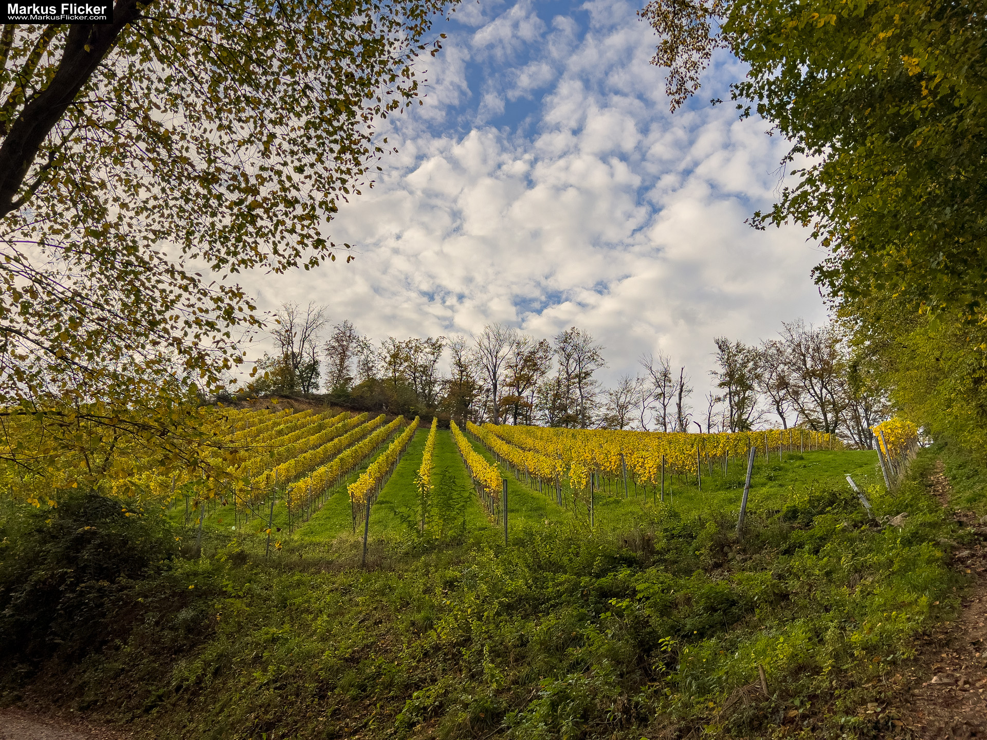 Burgruine Gösting und Jungfernsprung Graz Steiermark Österreich #visitstyria Burgruine Gösting Graz Steiermark Österreich #visitstyria