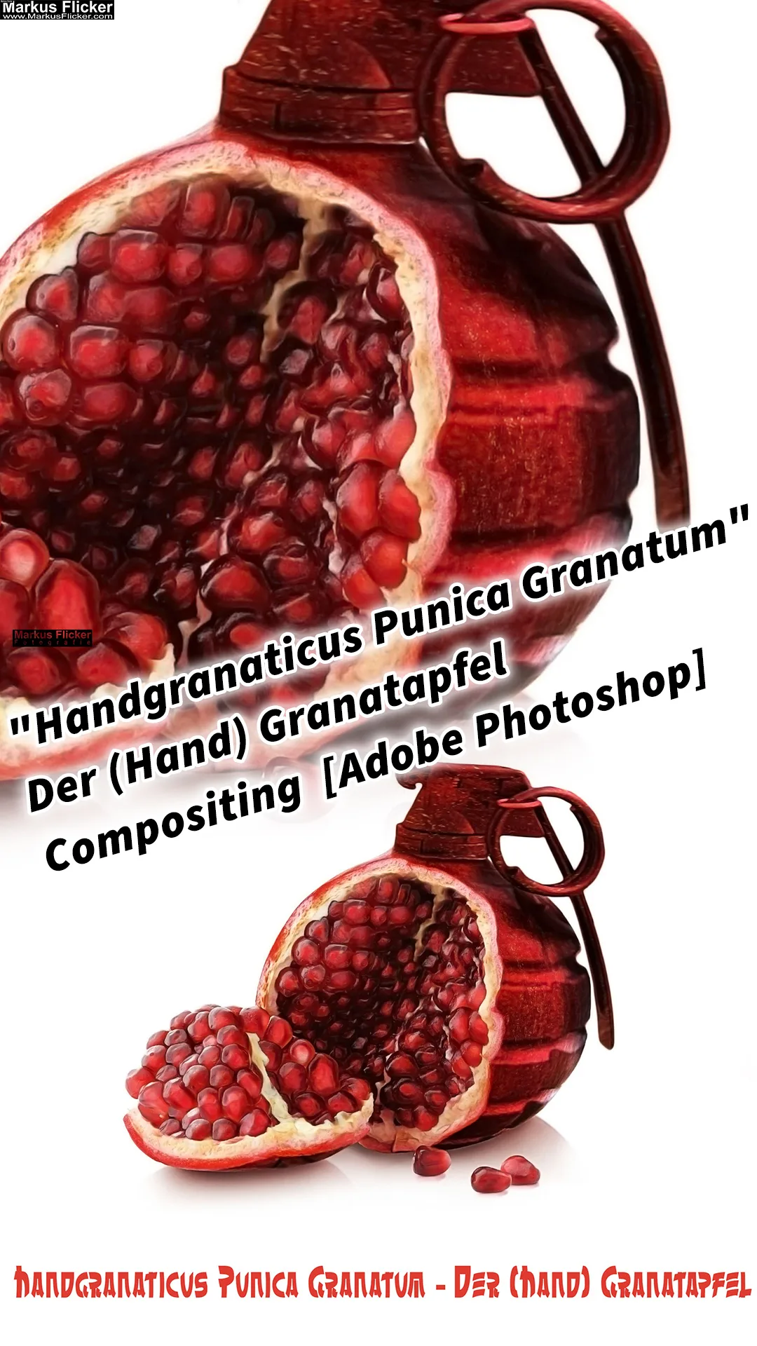 "Handgranaticus Punica Granatum" Der (Hand) Granatapfel Compositing mit Adobe Photoshop