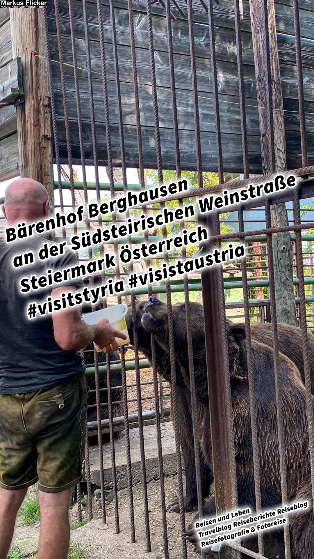 Bärenhof Berghausen an der Südsteirischen Weinstraße Tierpark Steiermark Österreich #visitstyria #visistaustria