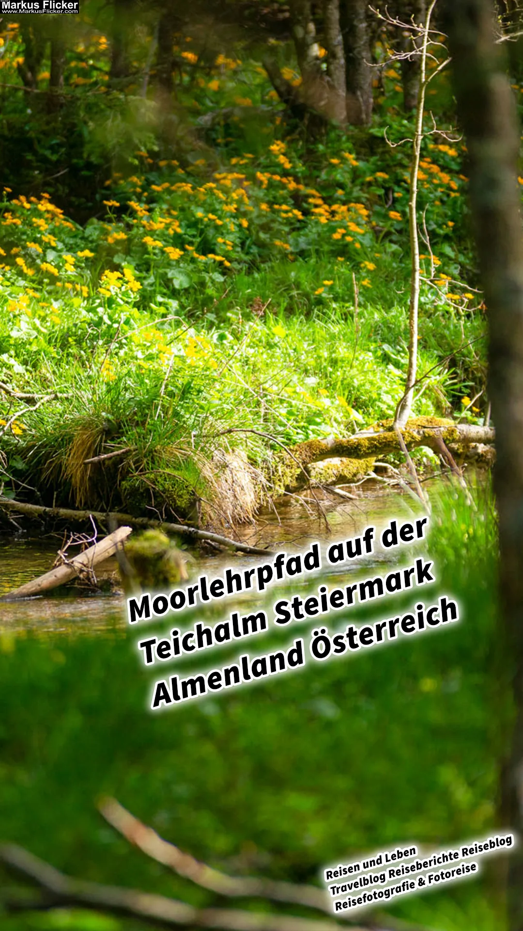 Moorlehrpfad auf der Teichalm Steiermark Almenland Österreich