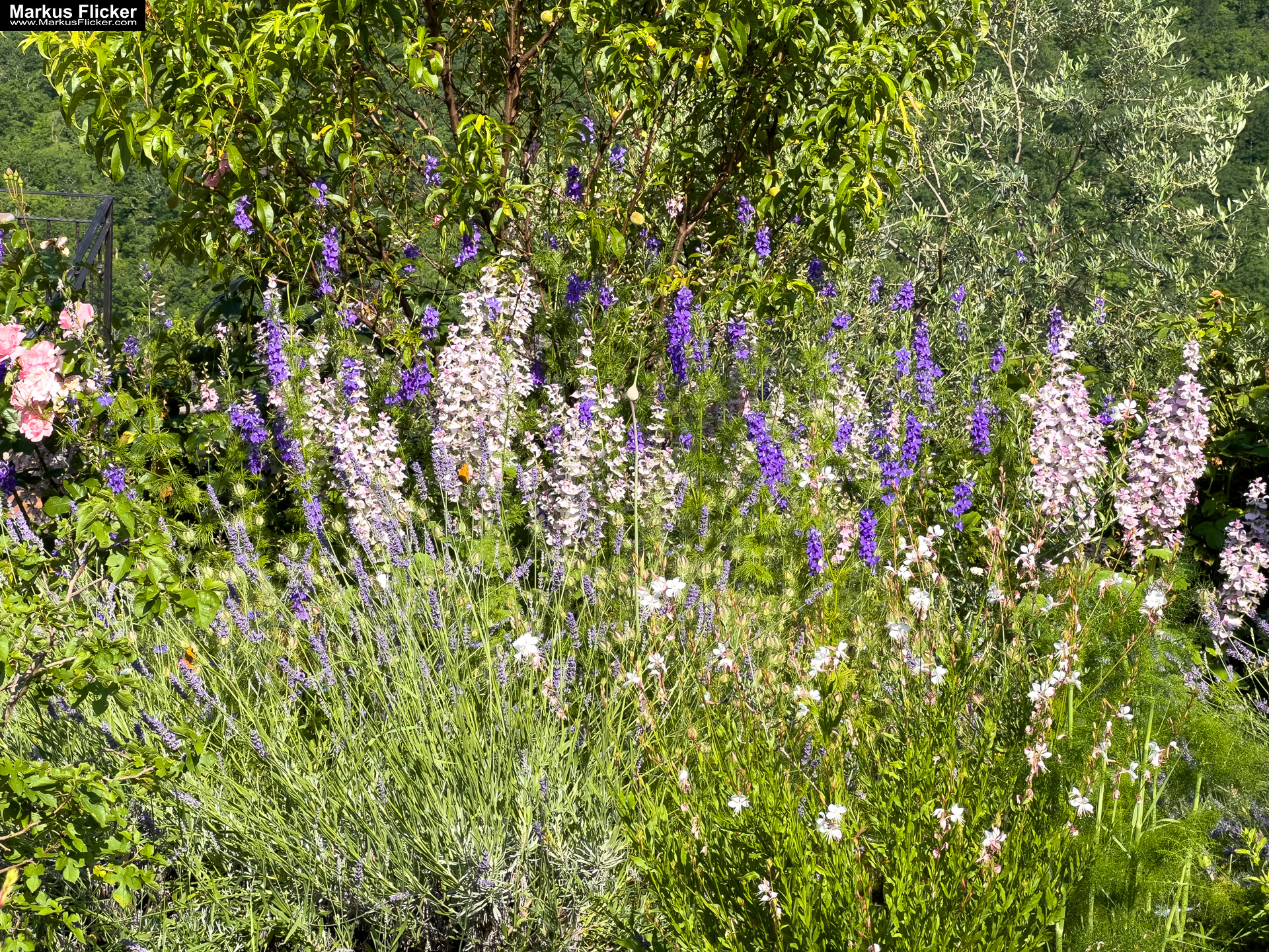 Krkavče Dorf in Slowenien Nähe Koper Krkavče Dorf in Slowenien Nähe Koper