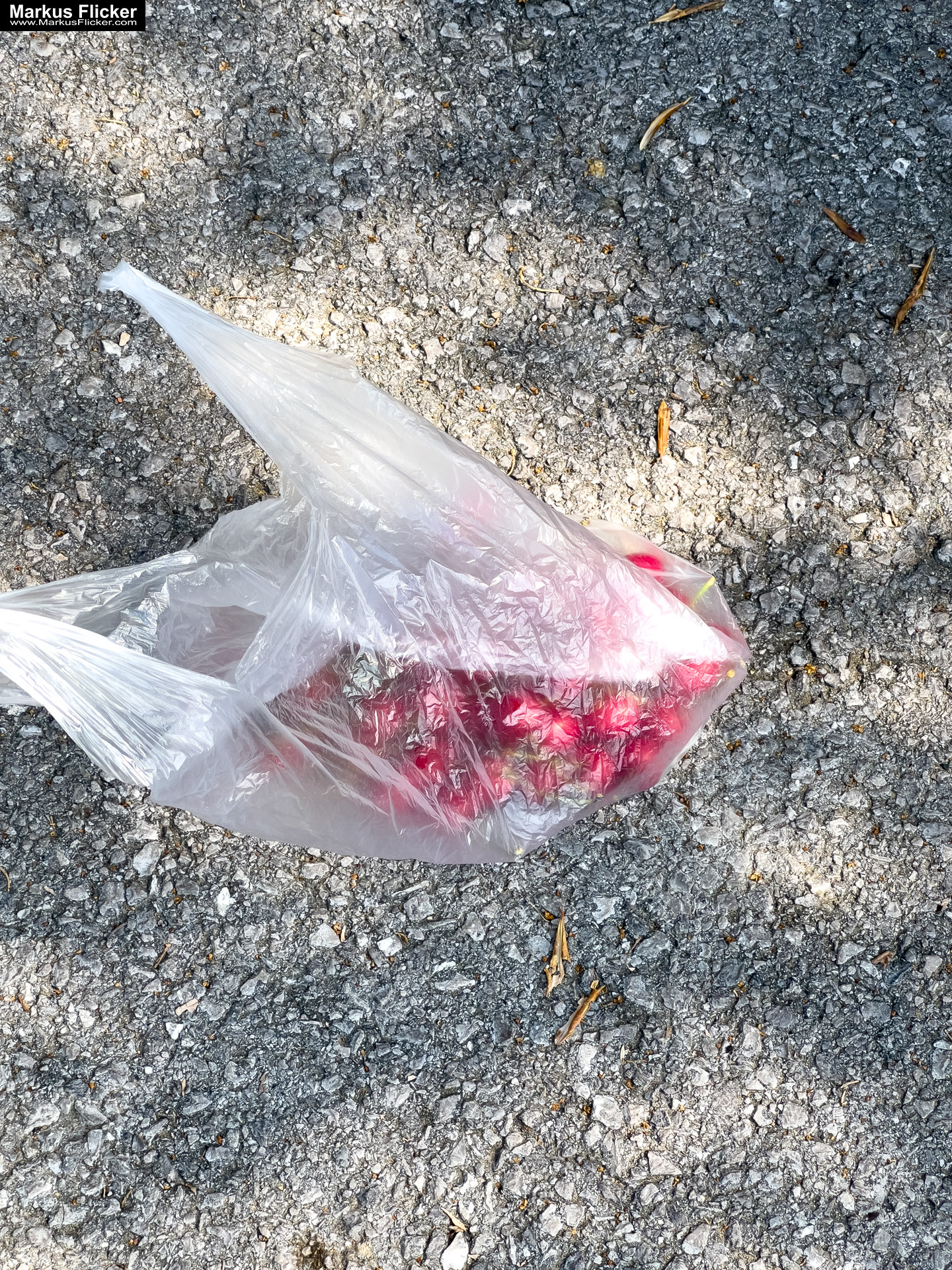 Krkavče Dorf in Slowenien Nähe Koper Krkavče Dorf in Slowenien Nähe Koper