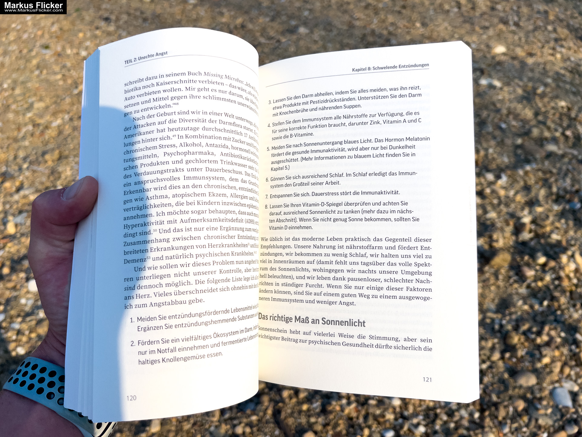 Woher kommt meine Angst? Echte Angstreaktionen von biologischen Mustern des Körpers unterscheiden und überwinden von Dr. Ellen Vora VAK Verlag