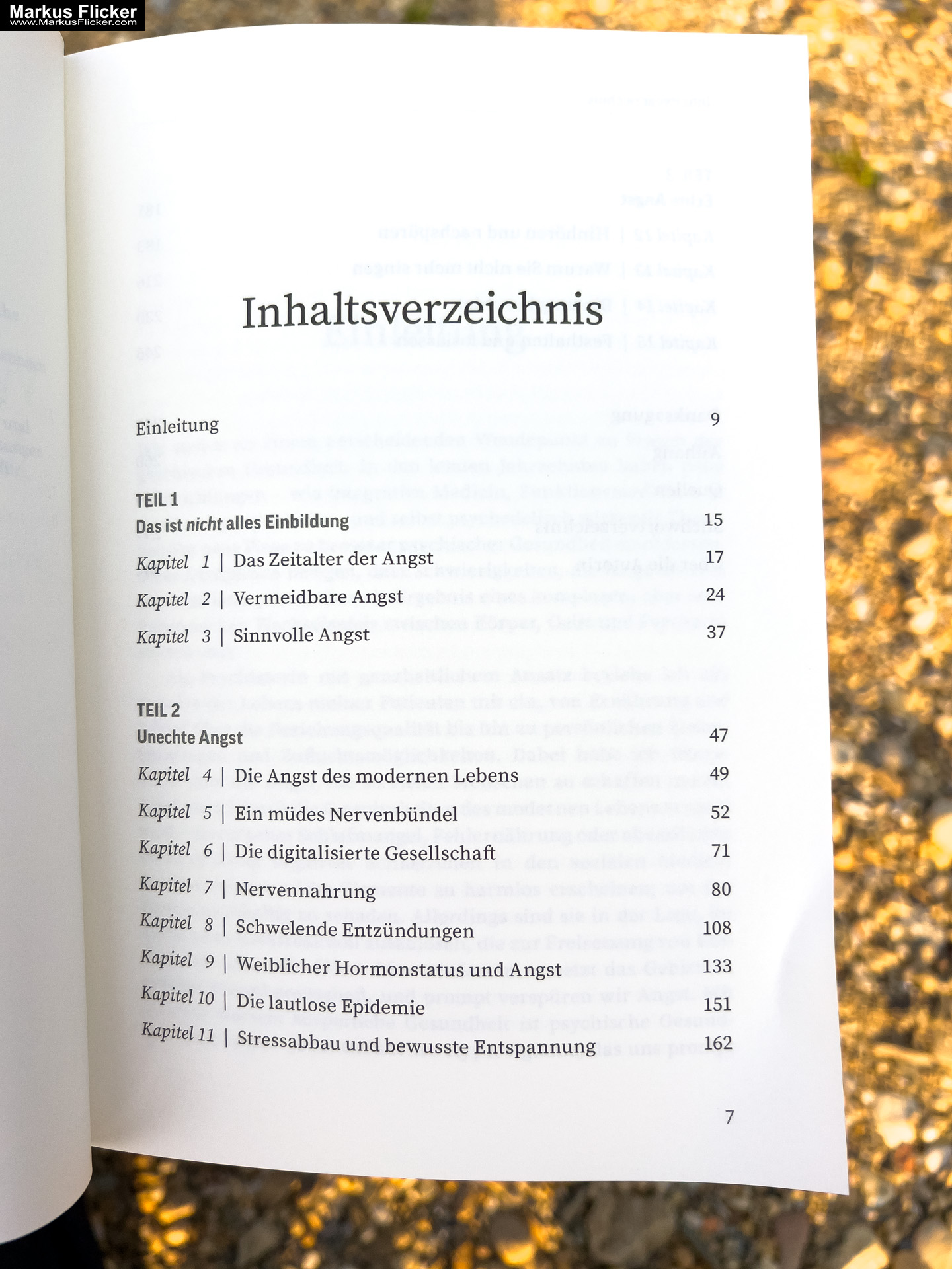 Woher kommt meine Angst? Echte Angstreaktionen von biologischen Mustern des Körpers unterscheiden und überwinden von Dr. Ellen Vora VAK Verlag
