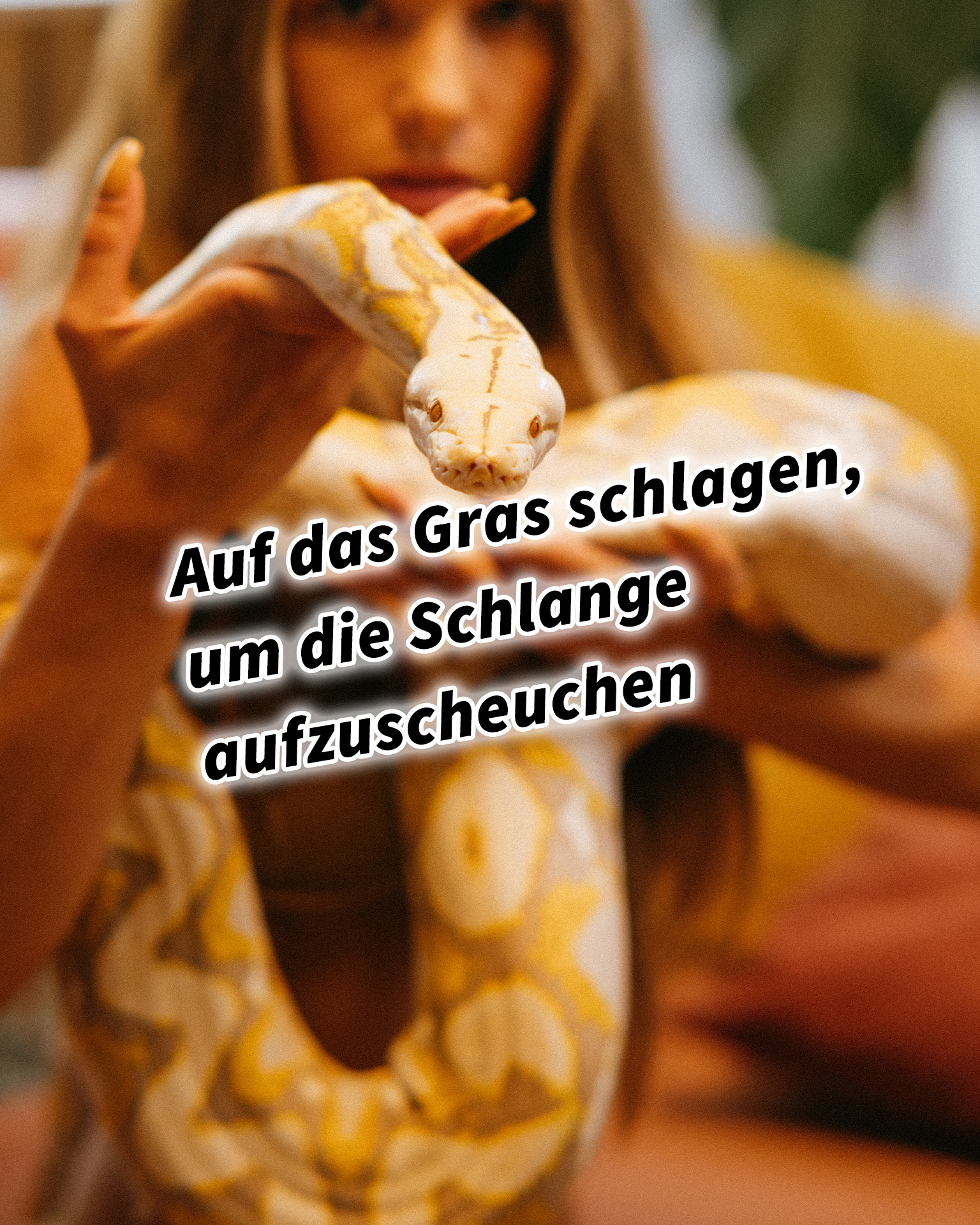 Auf das Gras schlagen, um die Schlange aufzuscheuchen 36 Strategeme für deinen Erfolg als Selbstständiger und Unternehmer: Chinesische Strategien für deinen Erfolg im Business und im Leben