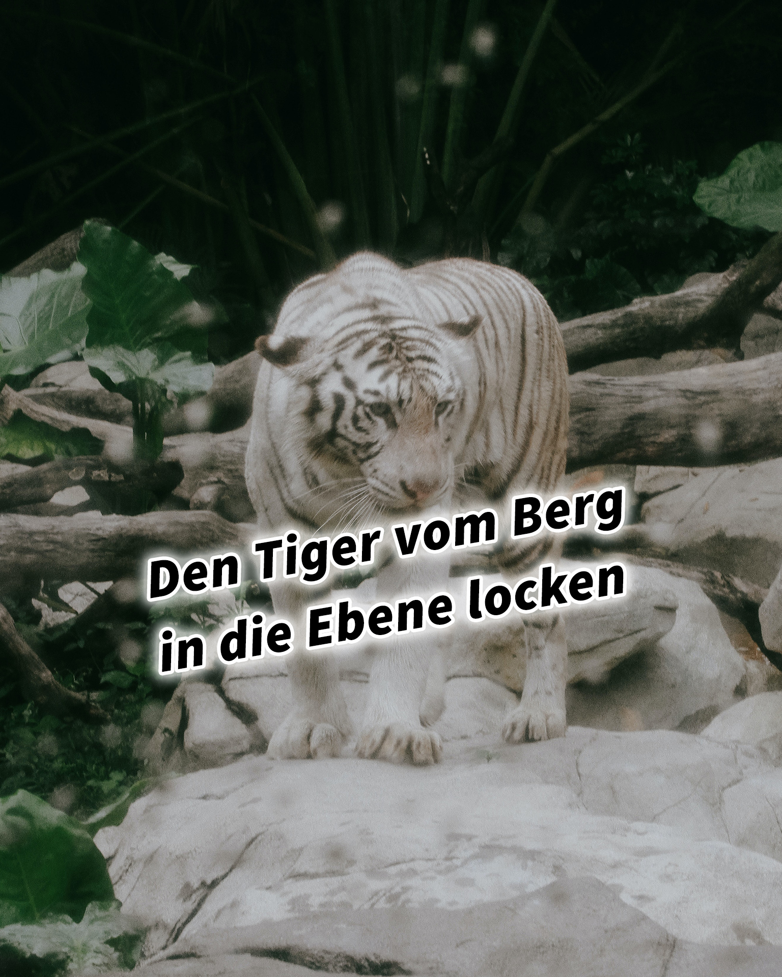 Den Tiger vom Berg in die Ebene locken 36 Strategeme für deinen Erfolg als Selbstständiger und Unternehmer: Chinesische Strategien für deinen Erfolg im Business und im Leben
