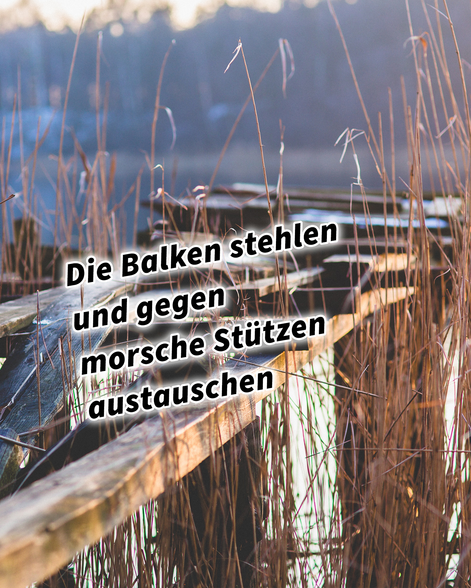 Die Balken stehlen und gegen morsche Stützen austauschen 36 Strategeme für deinen Erfolg als Selbstständiger und Unternehmer: Chinesische Strategien für deinen Erfolg im Business und im Leben