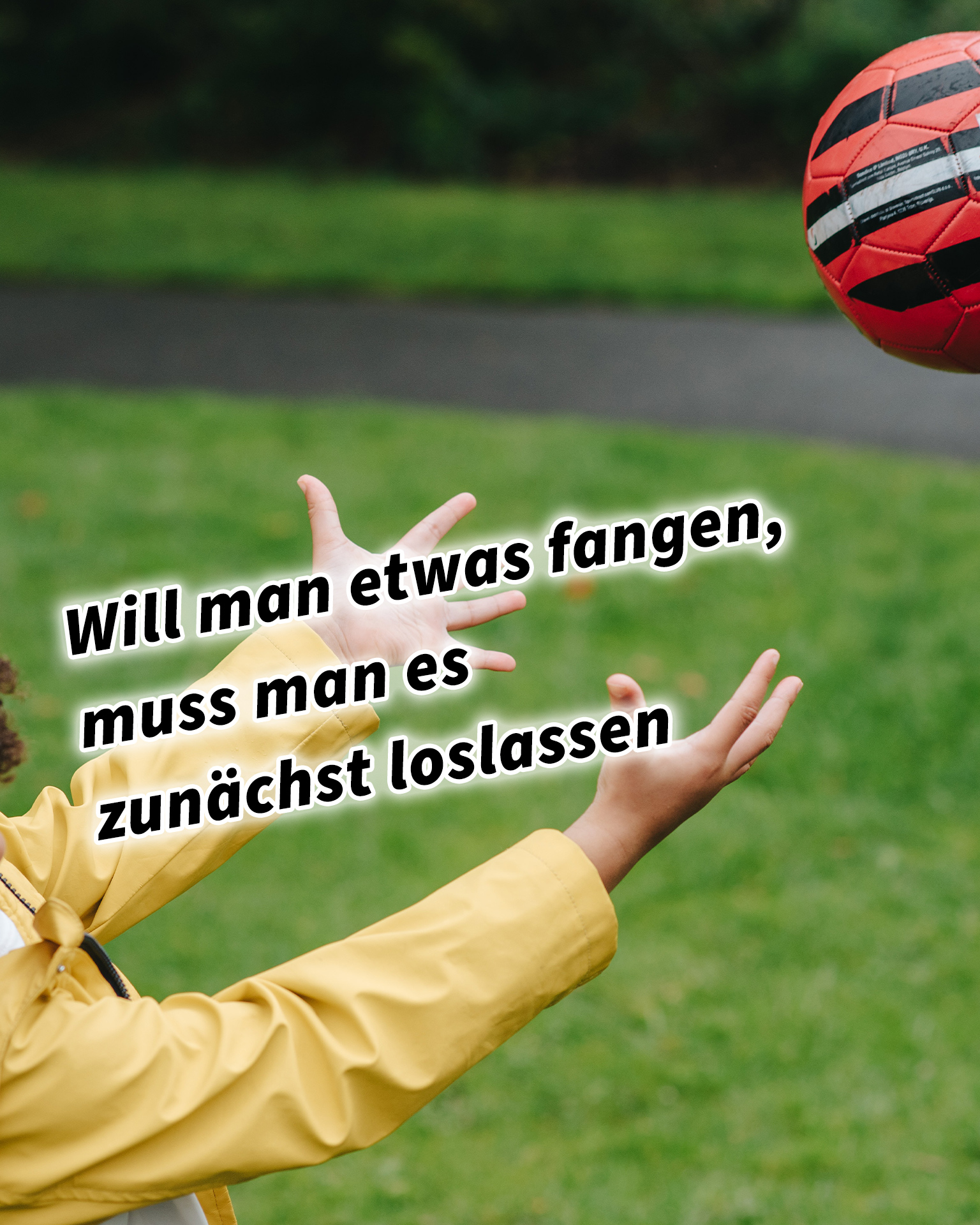 Will man etwas fangen, muss man es zunächst loslassen 36 Strategeme für deinen Erfolg als Selbstständiger und Unternehmer: Chinesische Strategien für deinen Erfolg im Business und im Leben